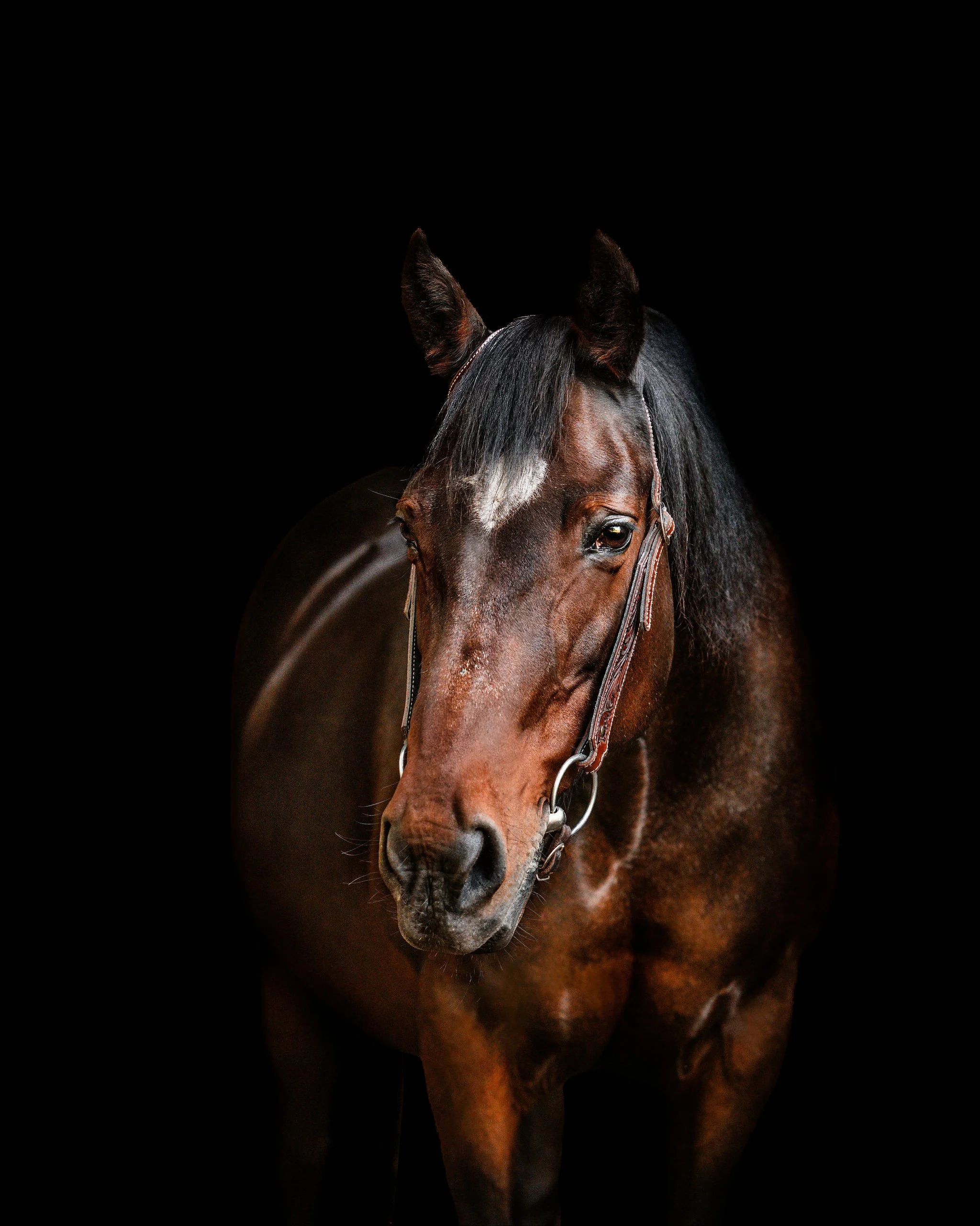 DSC_2988-Edit.jpg