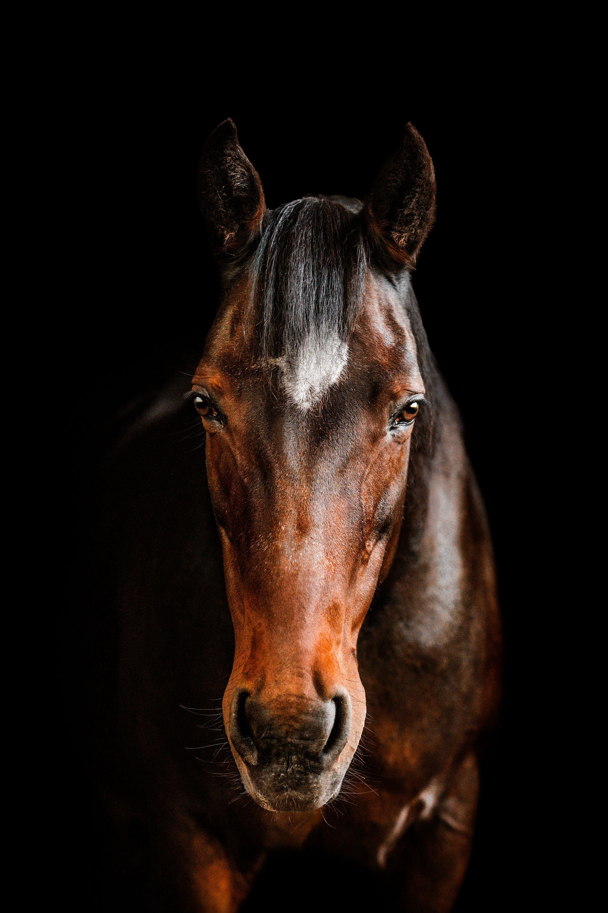 DSC_3026-Edit.jpg