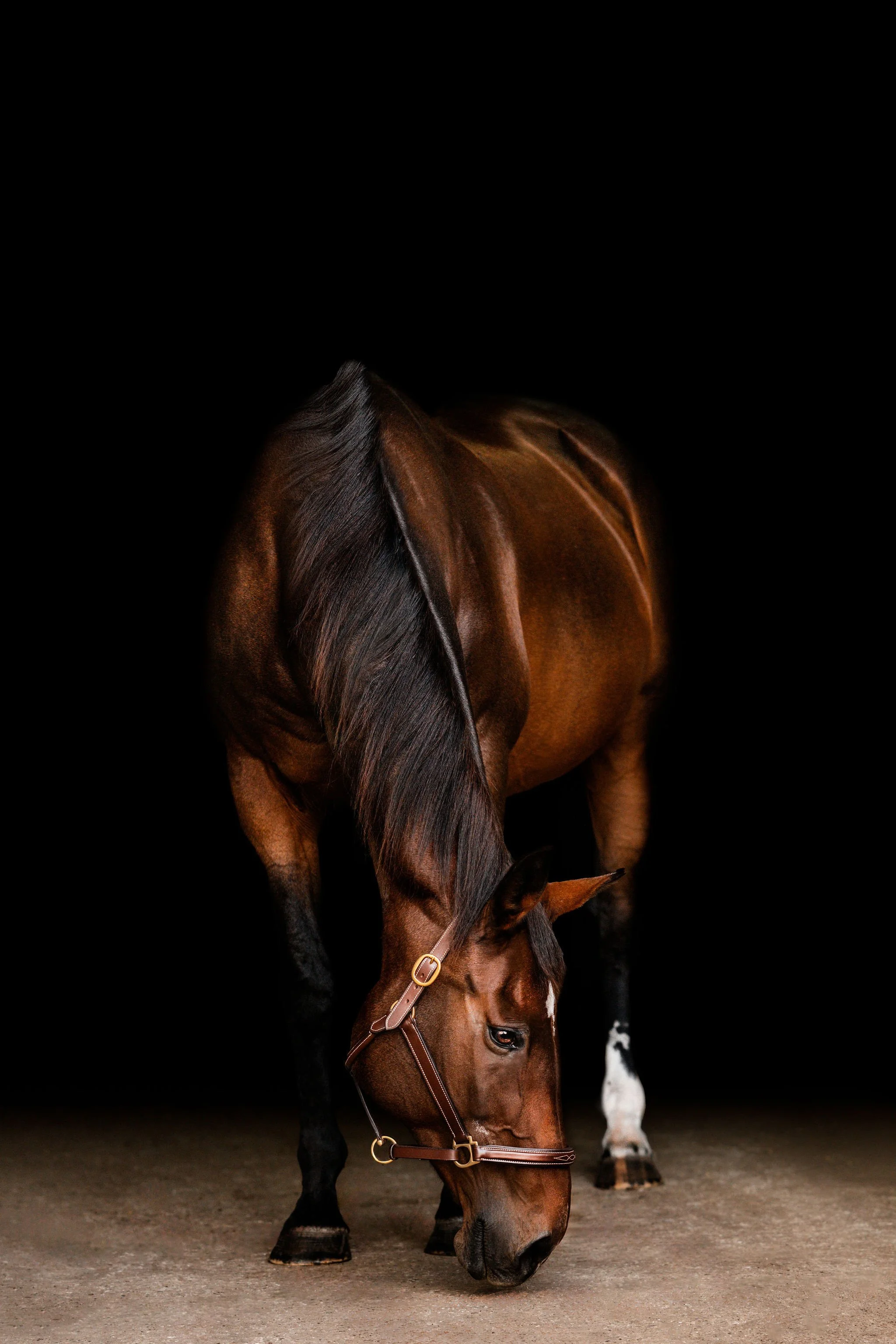 DSC_4134-Edit.jpg