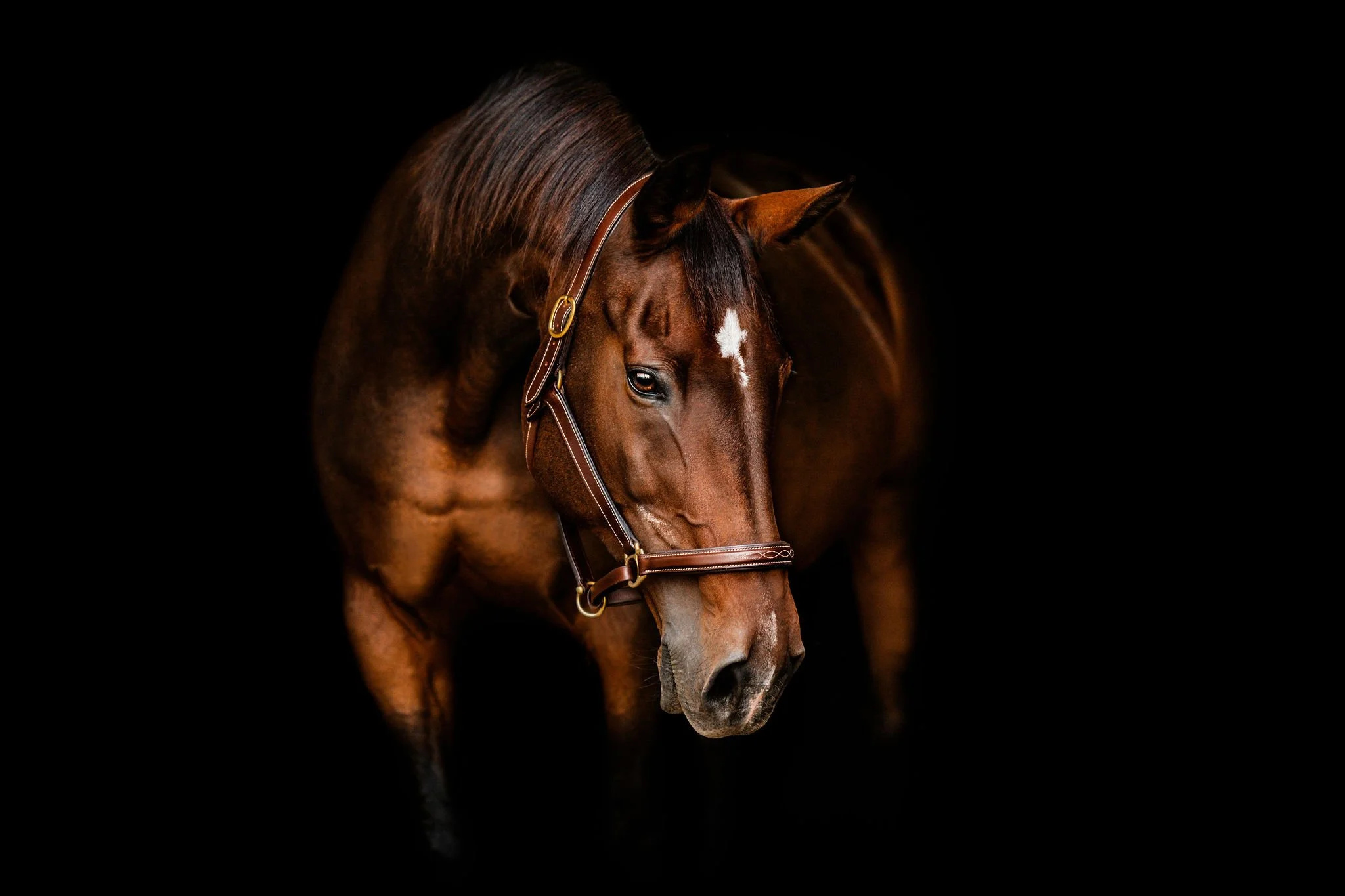 DSC_4175-Edit-2.jpg