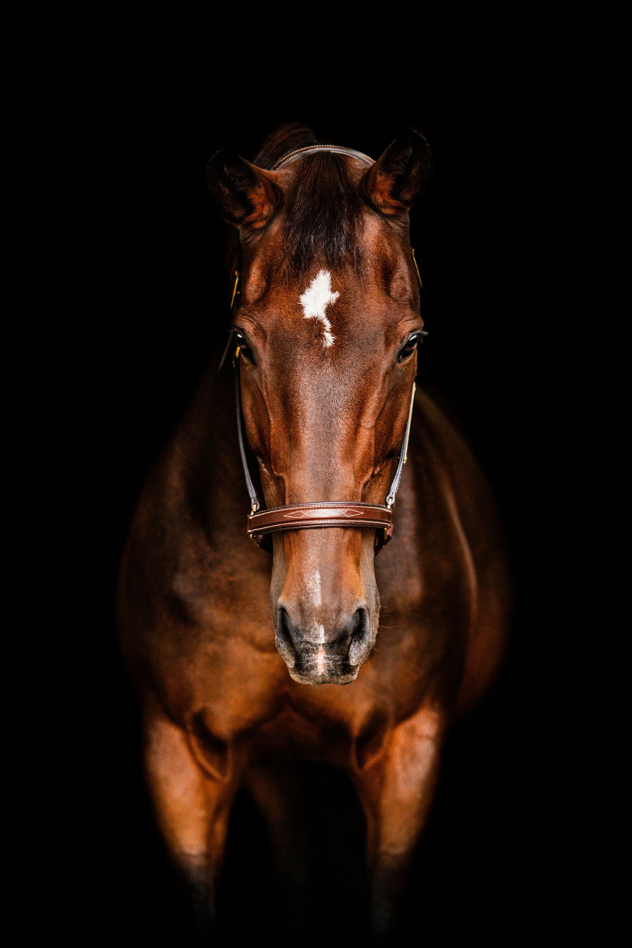 DSC_4217-Edit.jpg