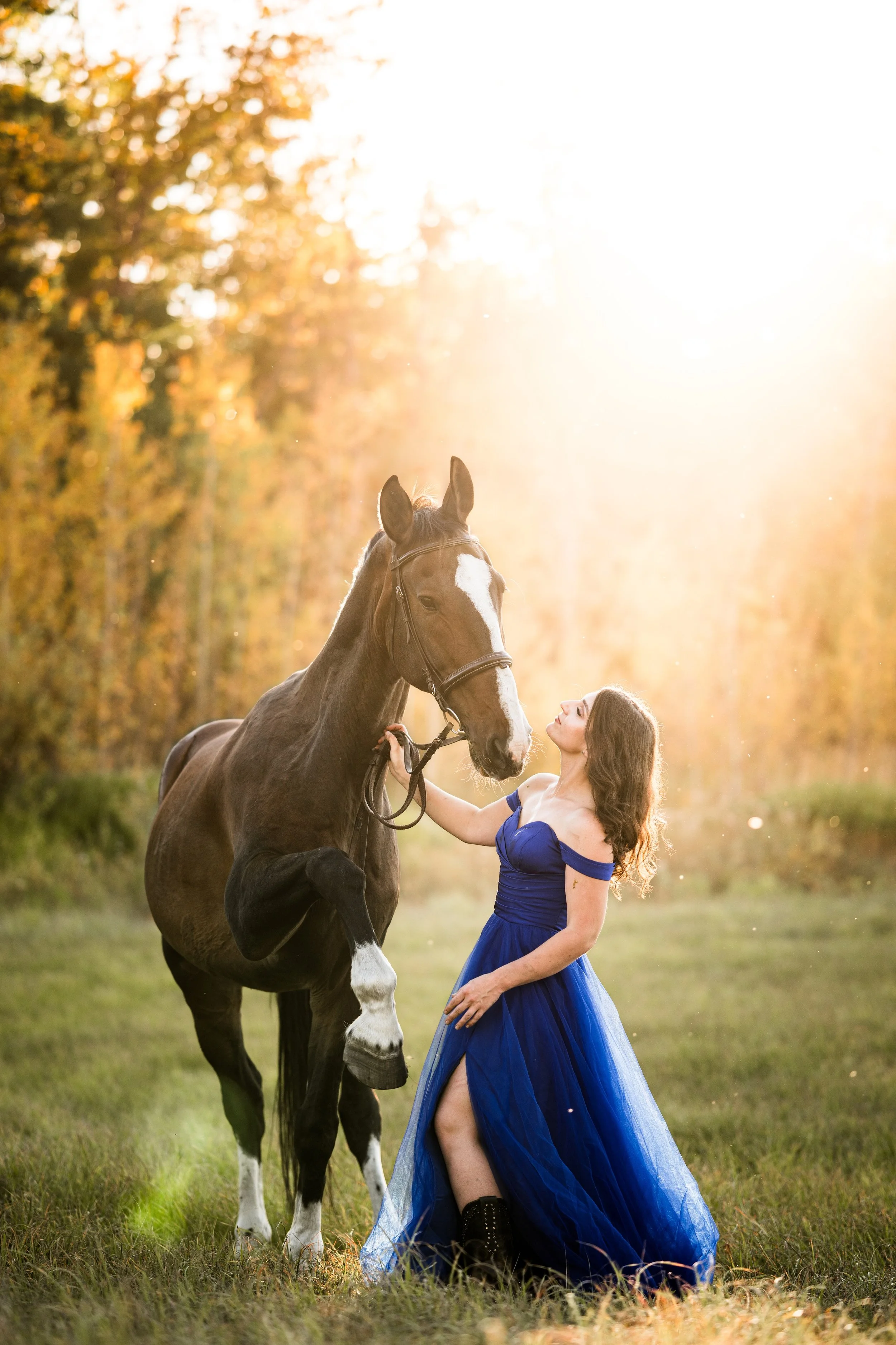 A woman in a blue dress is holding the reins of a large horse with a white blaze on its face in a grassy field during sunset.