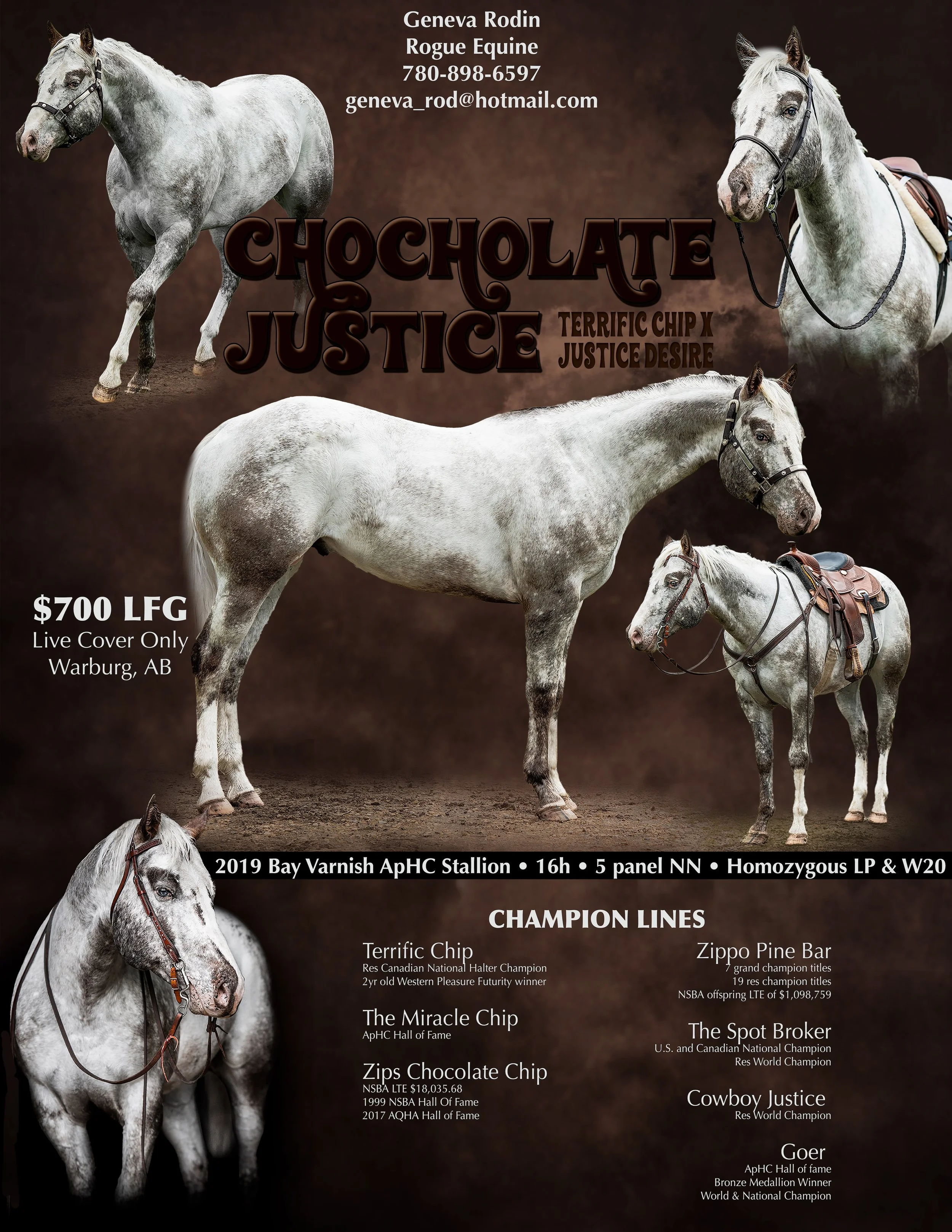 Small Steps Create Big Shifts 