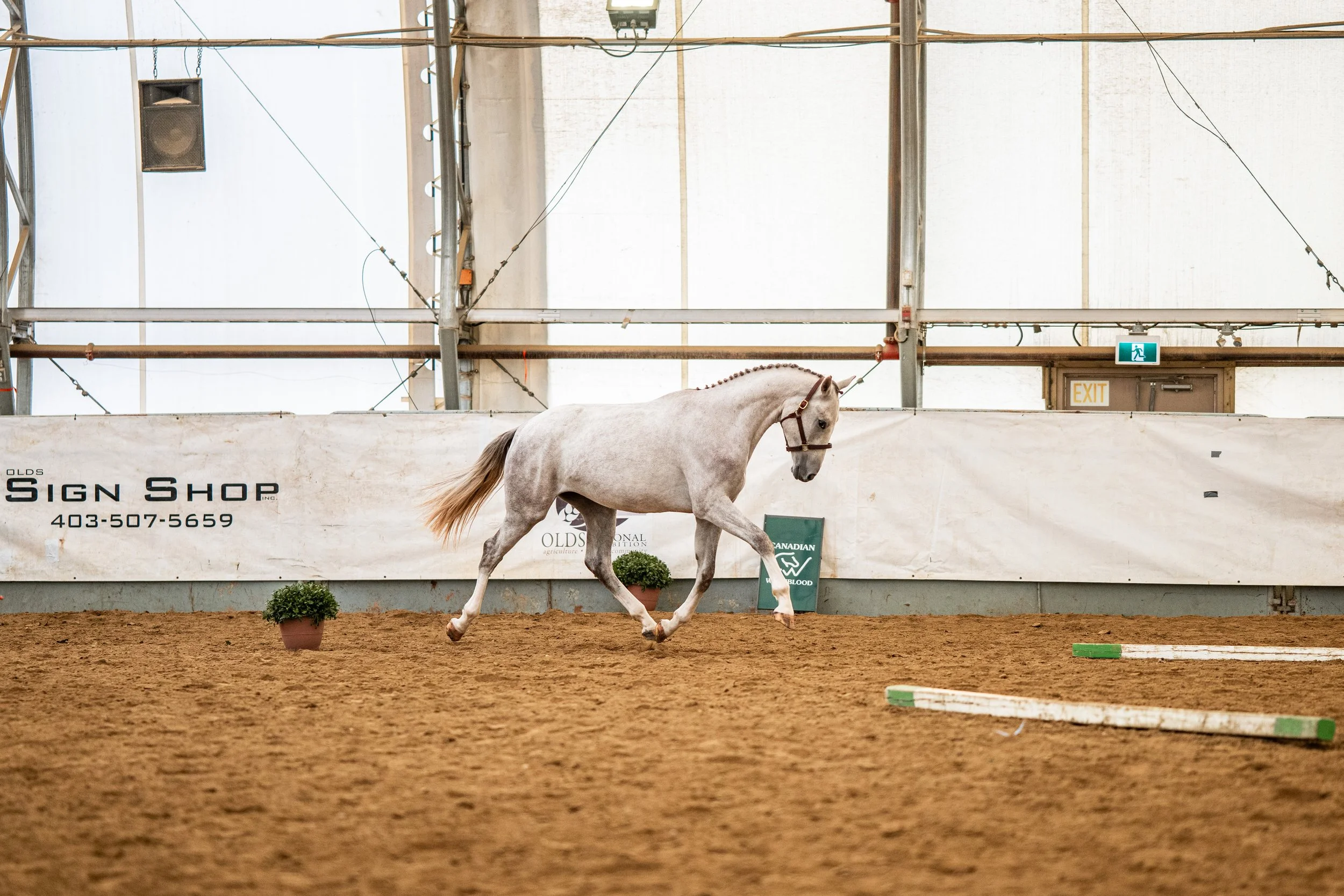 Turn Intention Into Action