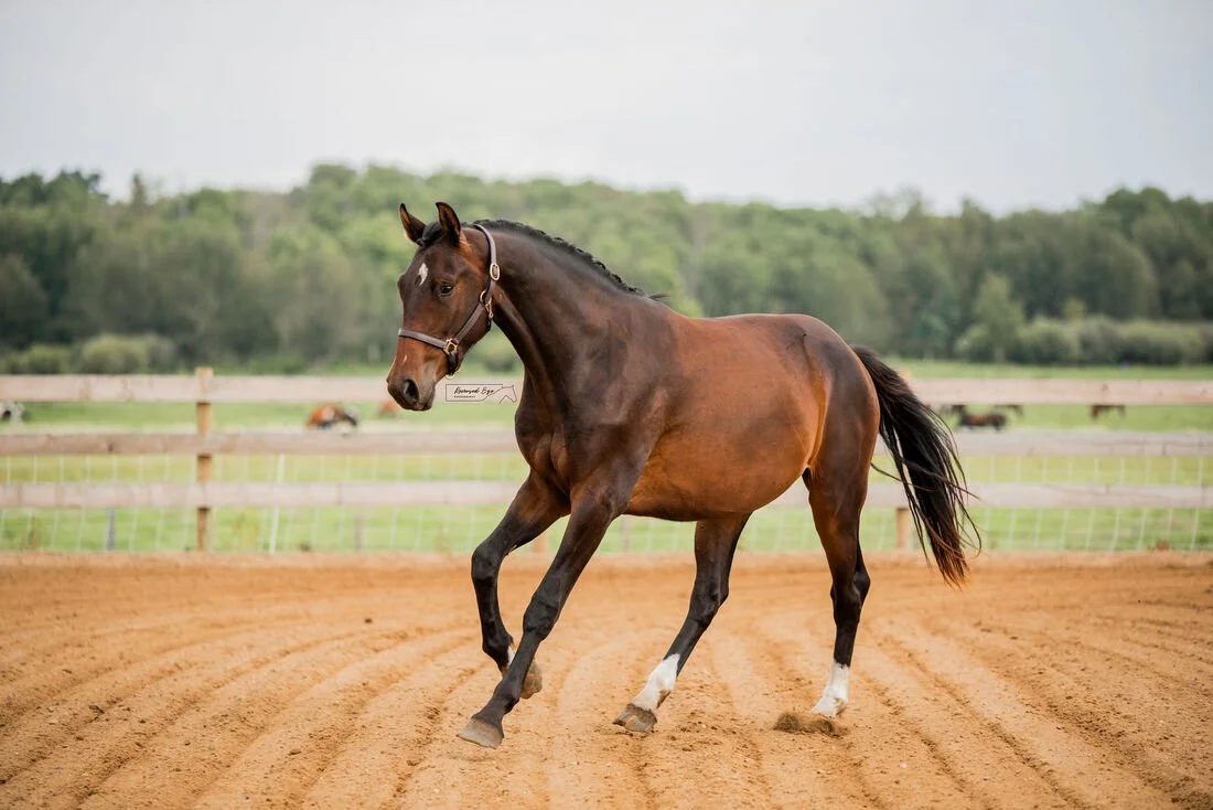 Make Room for Growth (Copy)