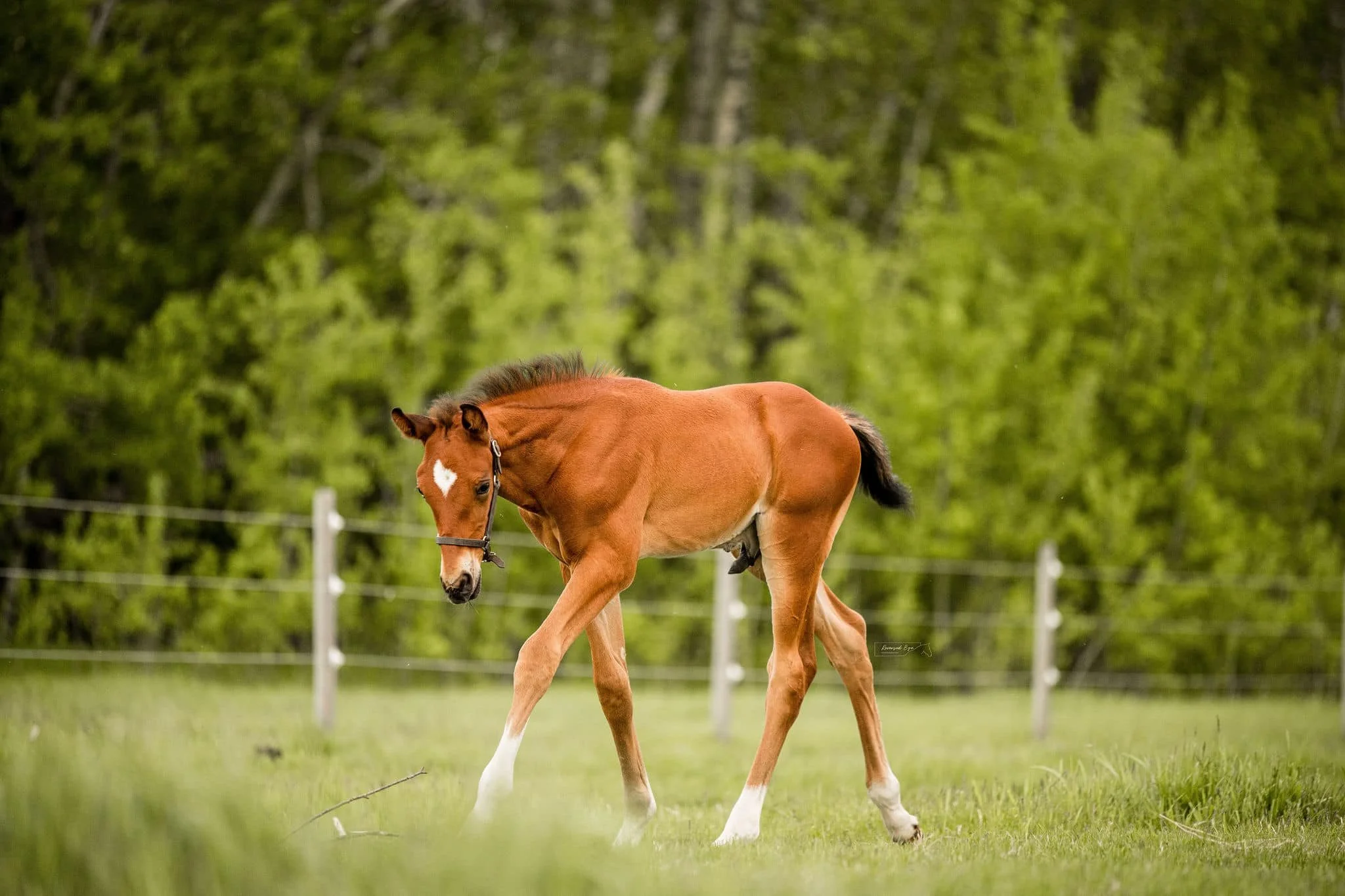 Turn Intention Into Action (Copy)