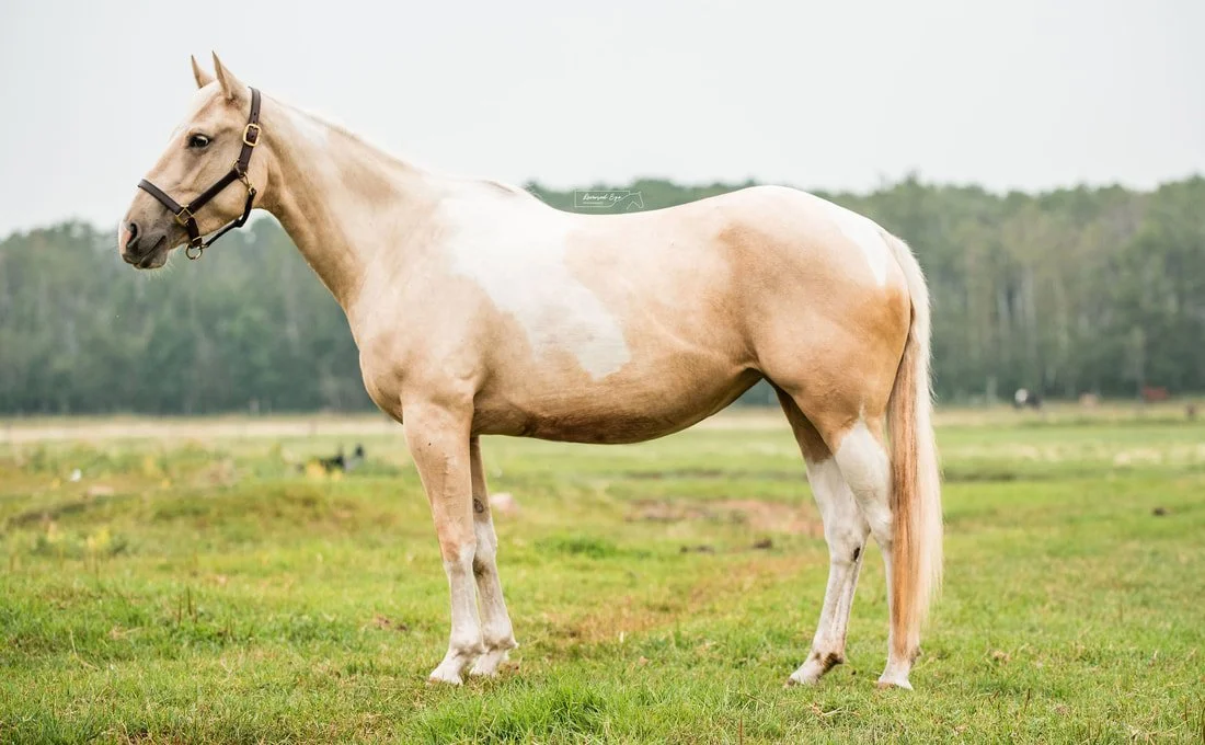 Make Room for Growth