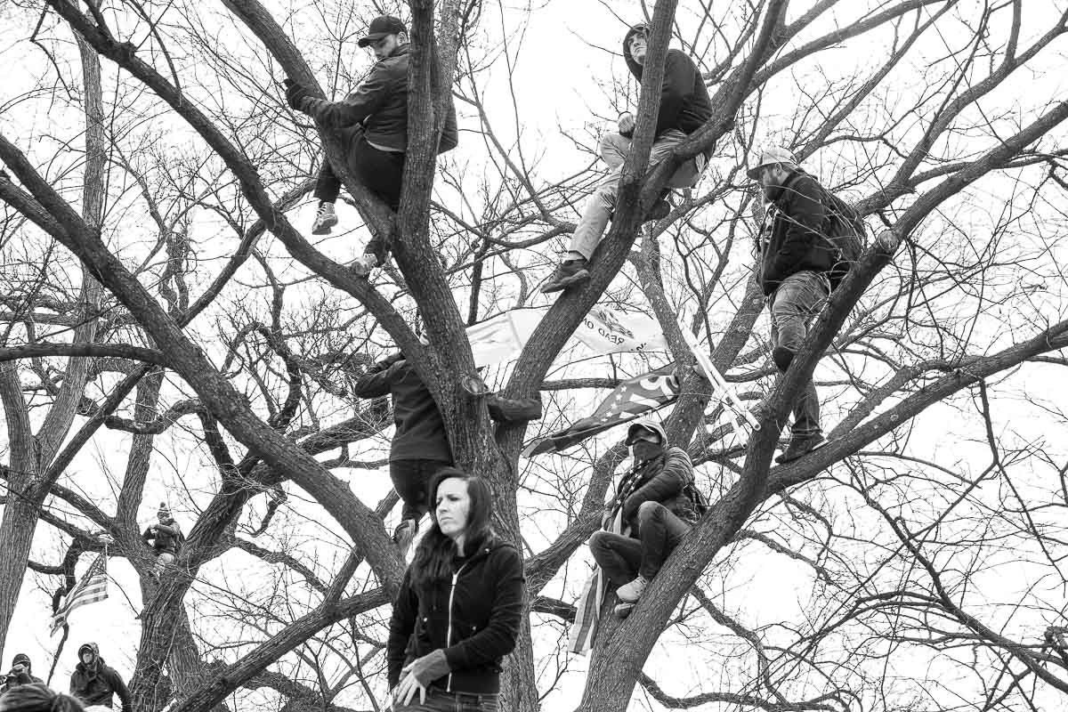 A tree near the White House ellipse provided a vantage point for Trump rally attendees. January 6, 2021. Washington, D.C.
