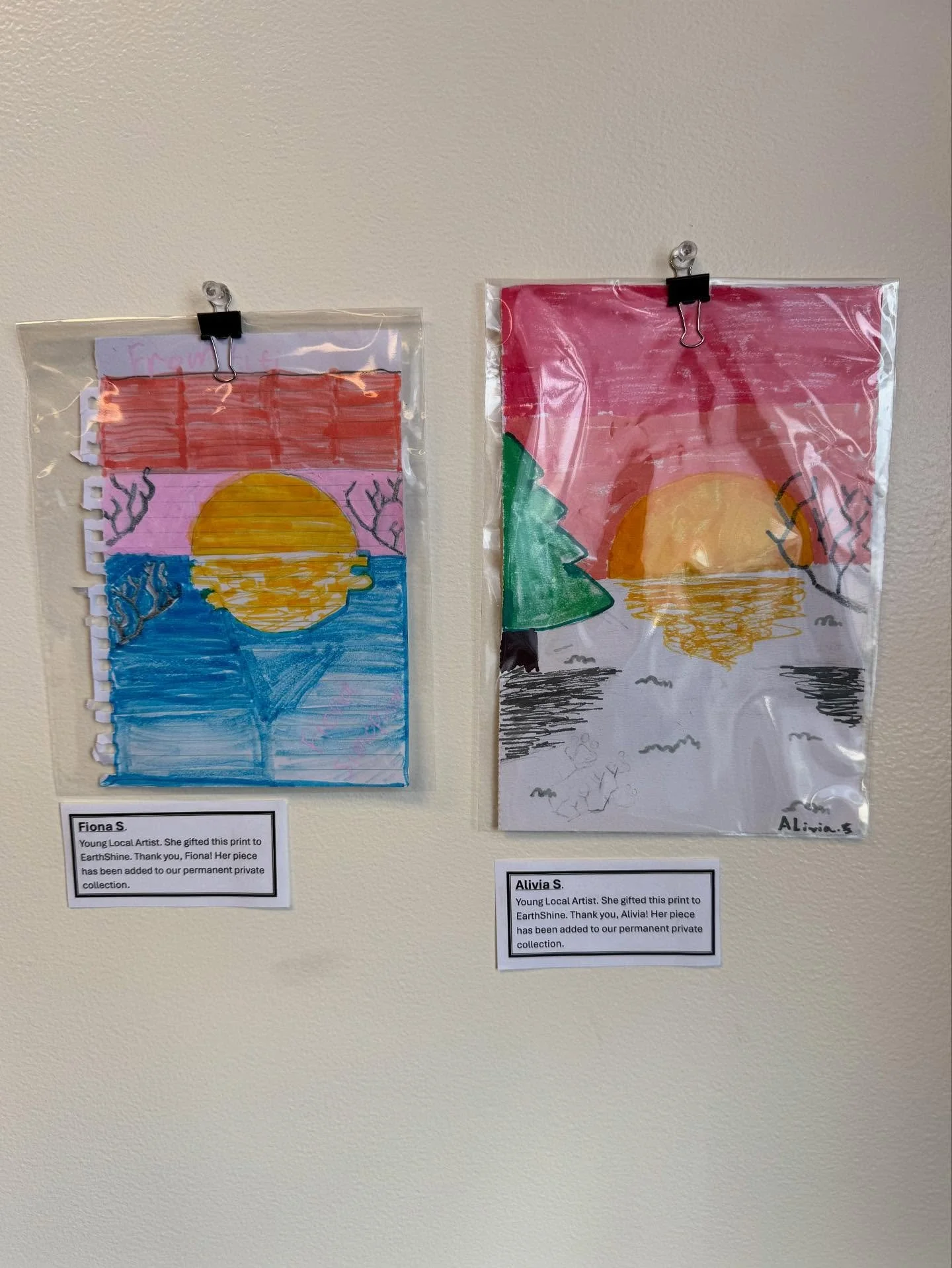 Thank you to Fiona and Alivia S. for gifting EarthShine some pieces of their artwork.