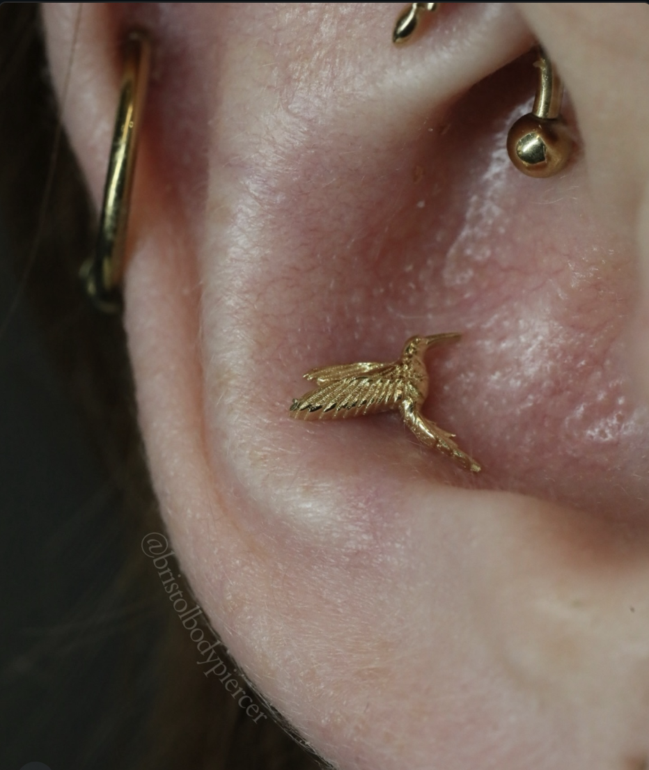 Solid Gold vs. Gold Plated: Why Your Piercings Deserve the Real Thing
