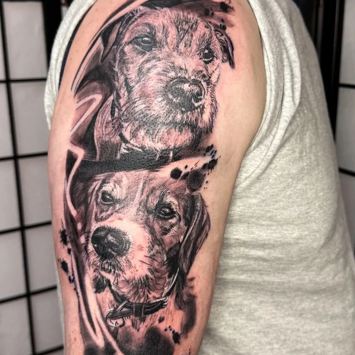 Tattoo of two detailed dog portraits, one above the other, in black and gray ink on a person's upper arm.