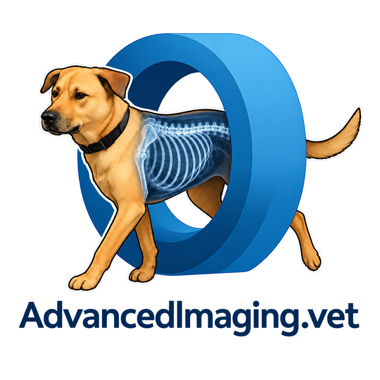 AdvancedImaging.vet