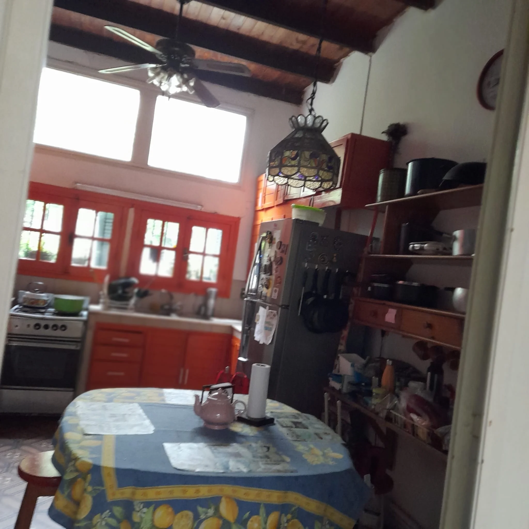 A kitchen with wooden cabinets, a blue tablecloth with lemons, a teapot, paper towels, and a refrigerator. There are windows with red frames, a stove, and shelves with various items.