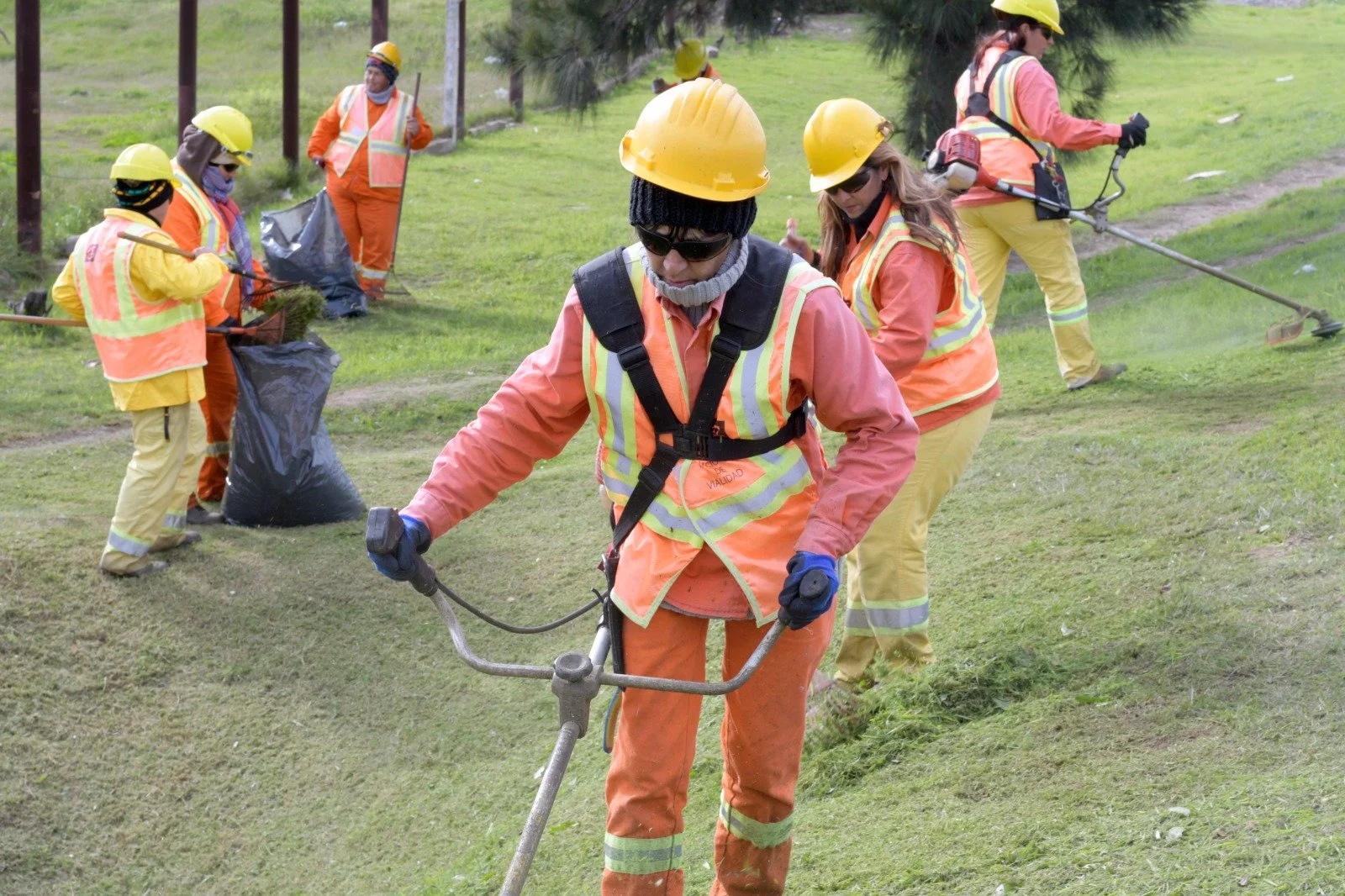 Group of workers in safety gear doing landscape maintenance on a grassy area, using tools like rakes and a scarifier.