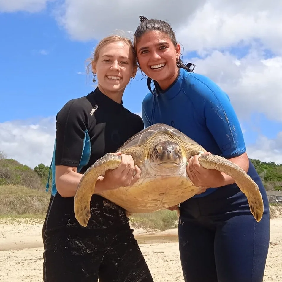 Two smiling women holding a large sea turtle on a beach, with a partly cloudy sky and green grass in the background.
