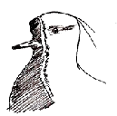 Volunteer in Uruguay