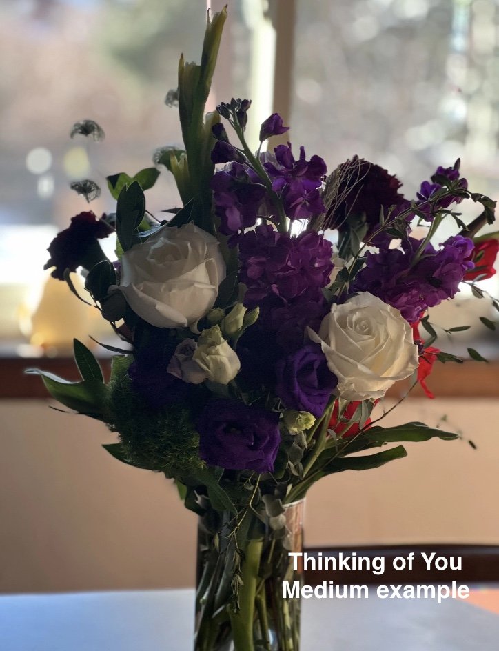 Image 2-16-26 at 1.08 PM.jpg