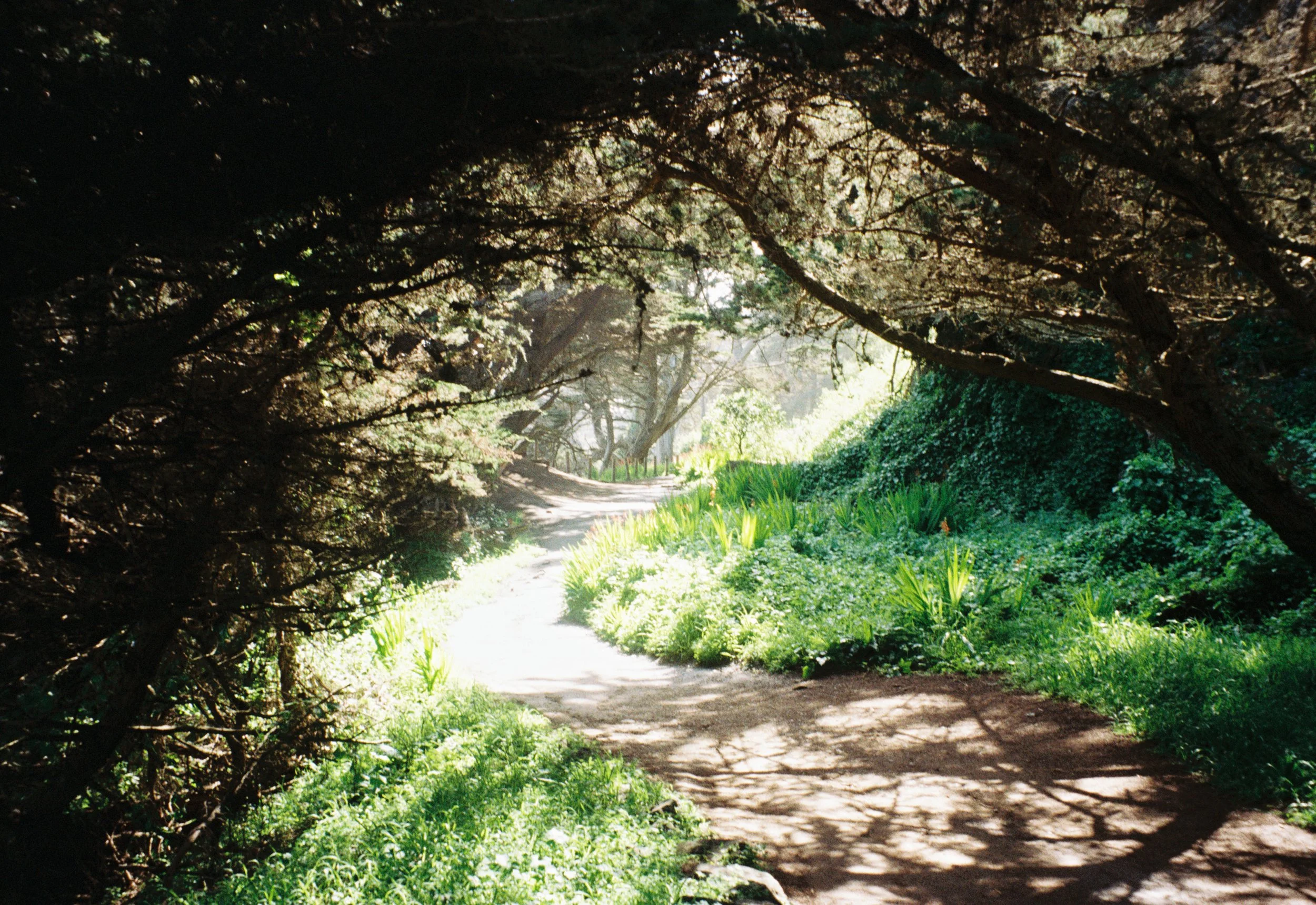 kellyhood201118-R1-039-18.jpg
