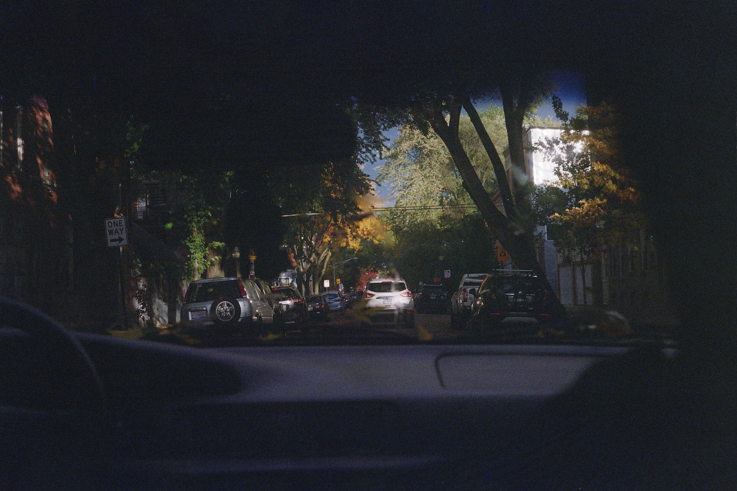 ---_0151.jpg
