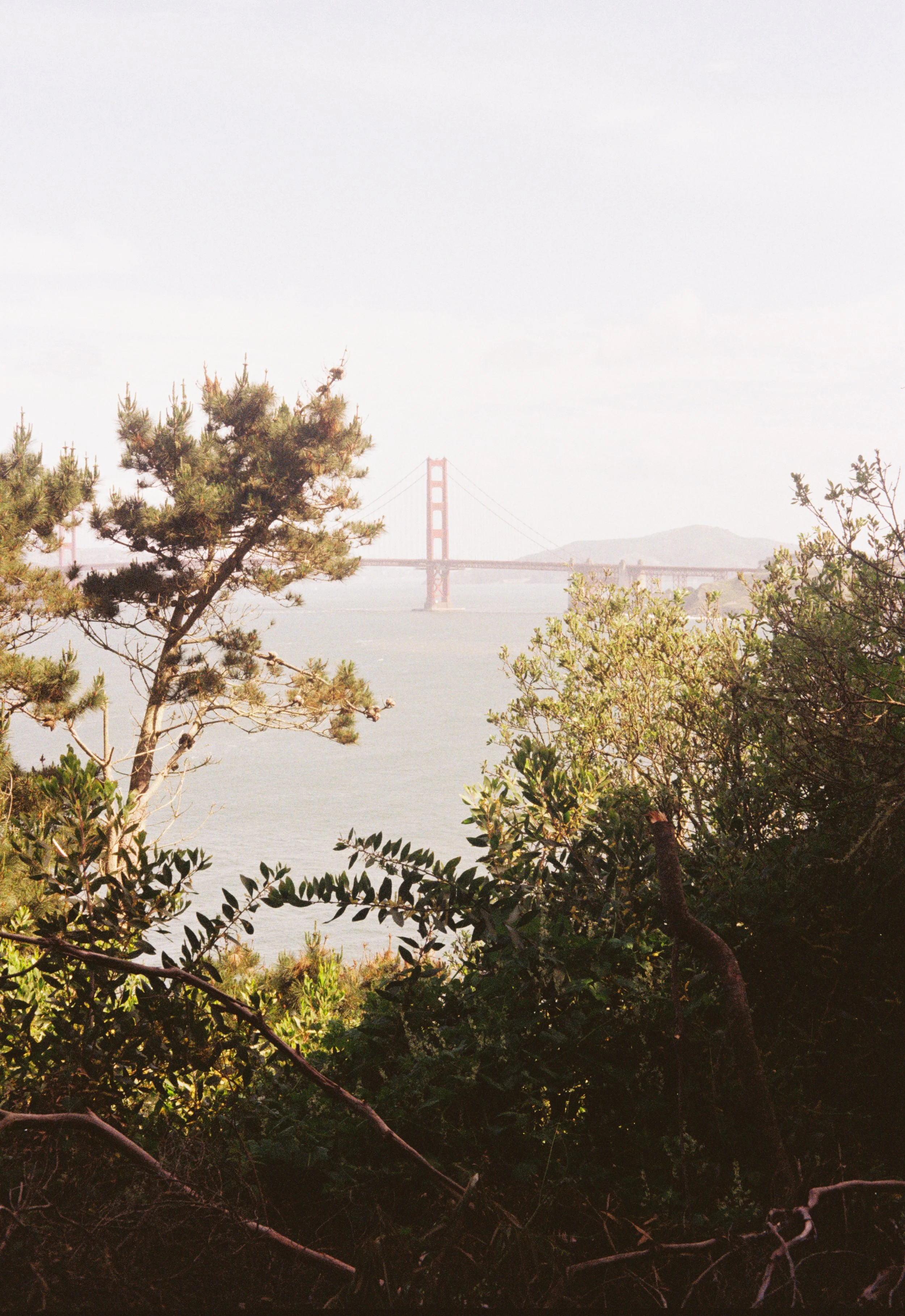 kellyhood201118-R1-041-19.jpg