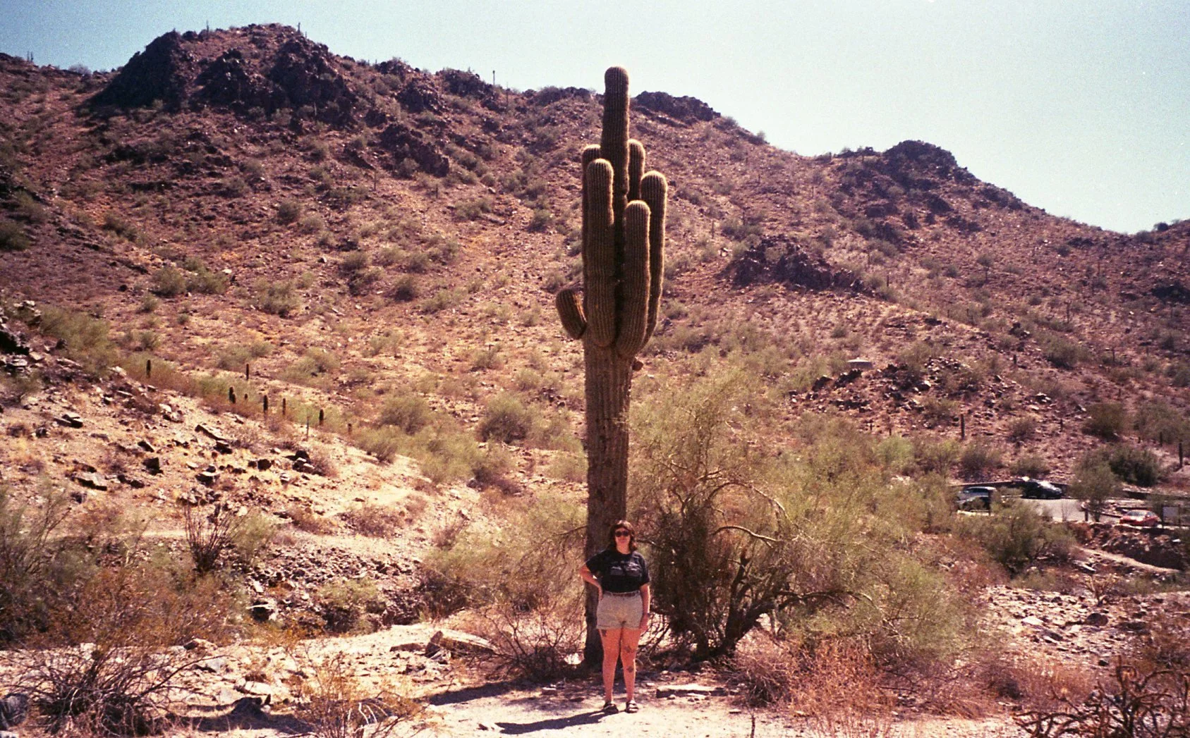 img664.jpg