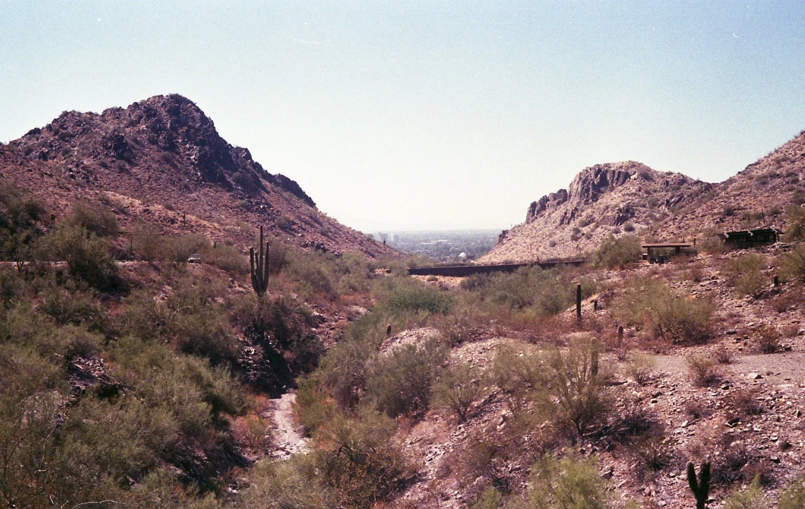 img666.jpg
