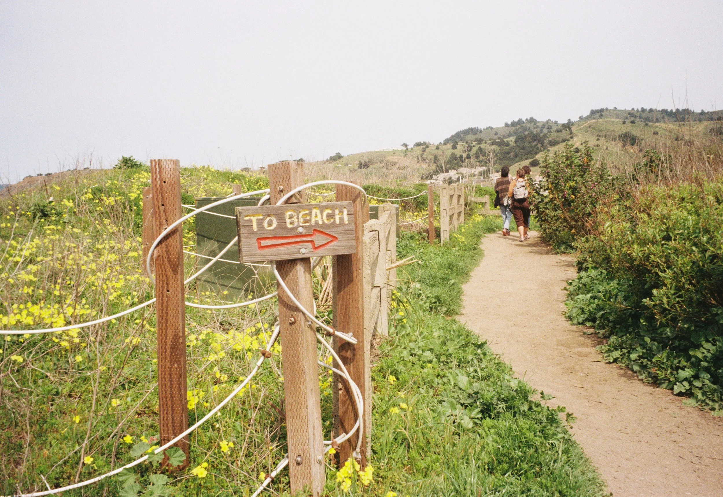 kellyhood201118-R1-007-2.jpg