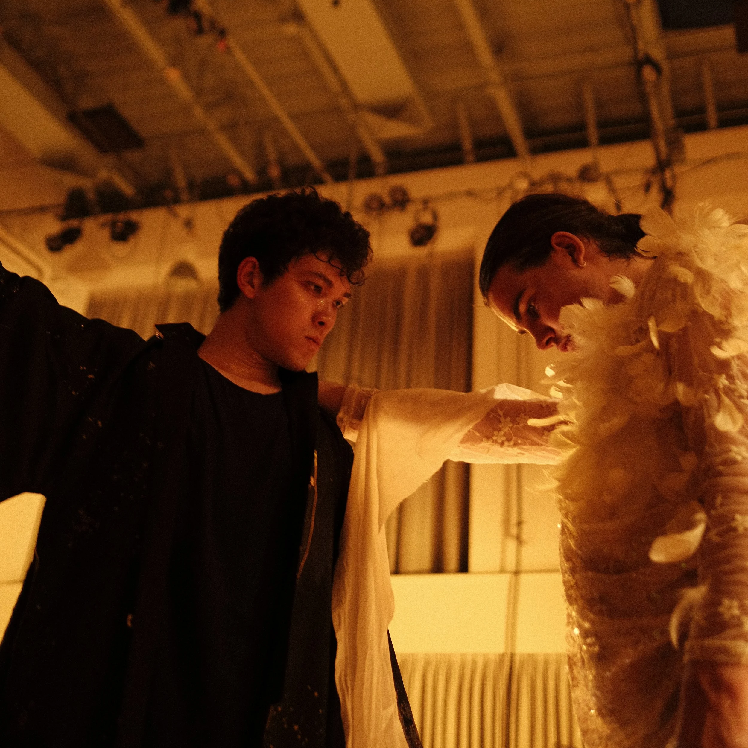 Sarus Crane, Do You Miss Home?