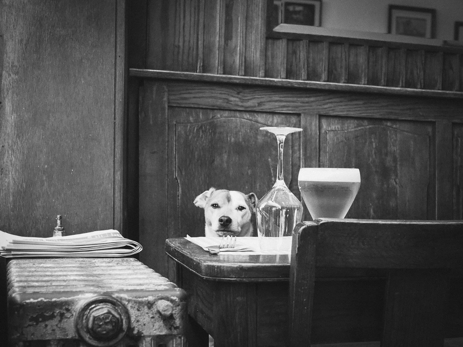 A dog peeking from behind a table in a restaurant, with a wine glass and a bowl on the table, in black and white.
