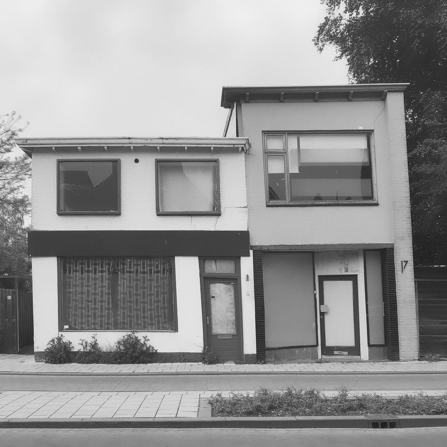 Photo for website gallery (2).jpg