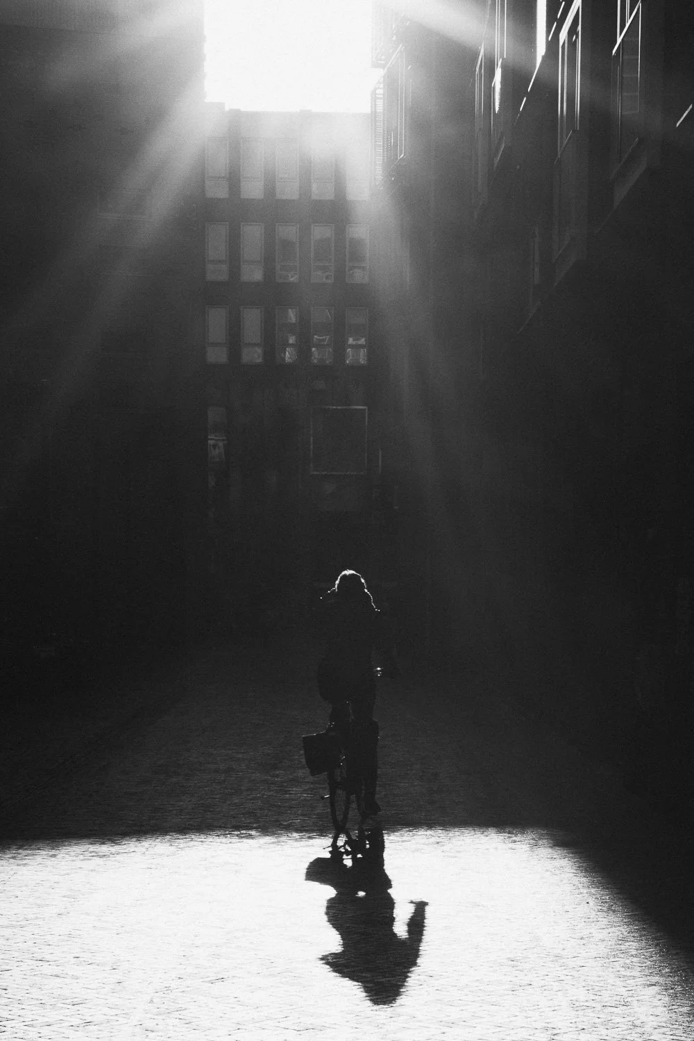 A silhouette of a person riding a bicycle in a city street, with sunlight streaming down and casting a shadow on the ground, buildings visible in the background.