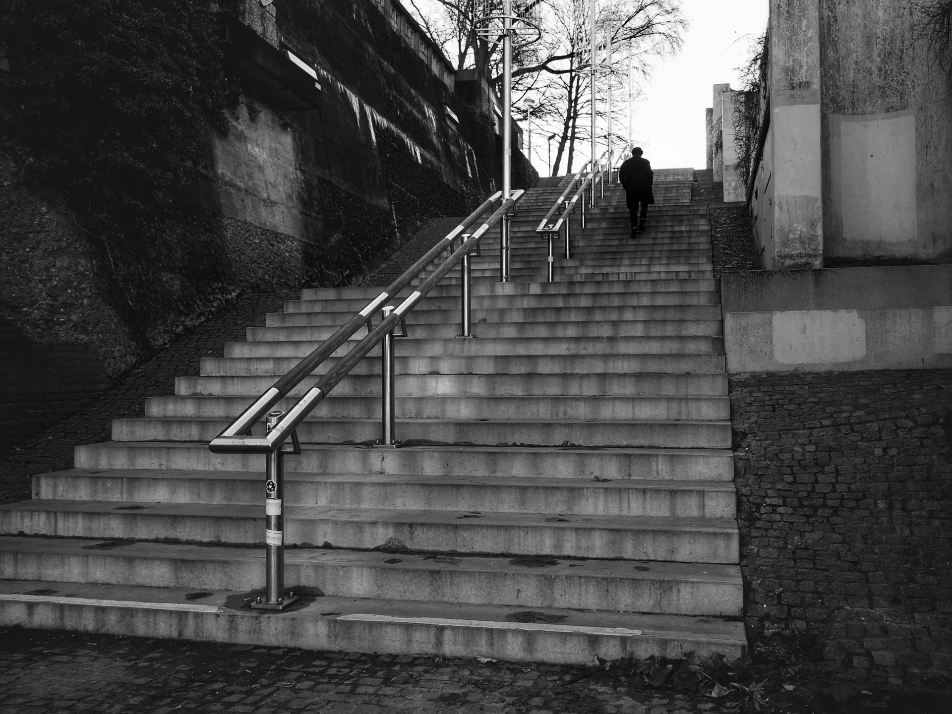 A black and white photo of a person walking up a large outdoor staircase with handrails on both sides, surrounded by stone and concrete structures, and leafless trees in the background.