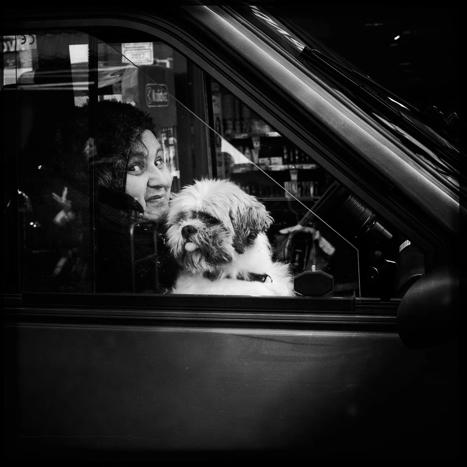 A person with dark, curly hair and a surprised expression sitting in a vehicle, with a small, fluffy dog with a collar in their lap, viewed through the window.