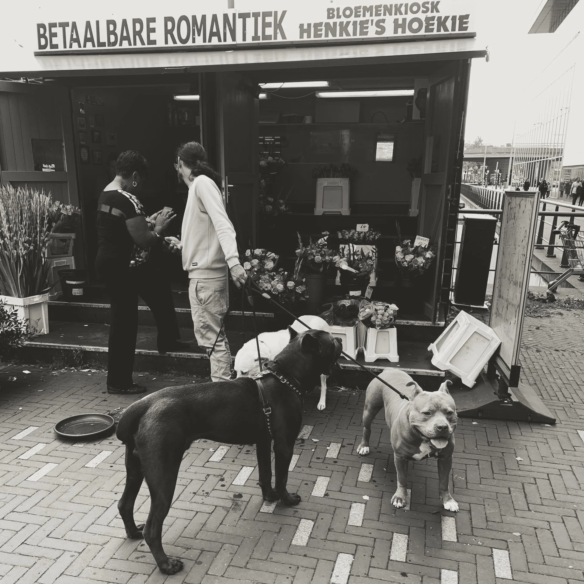 A flower kiosk with people and dogs in front. Sign reads in Dutch: 'Payable Romantic Flowers Henkie's Flower Shop.' Two women are interacting, and there are multiple dogs around, one lying near the flower display.