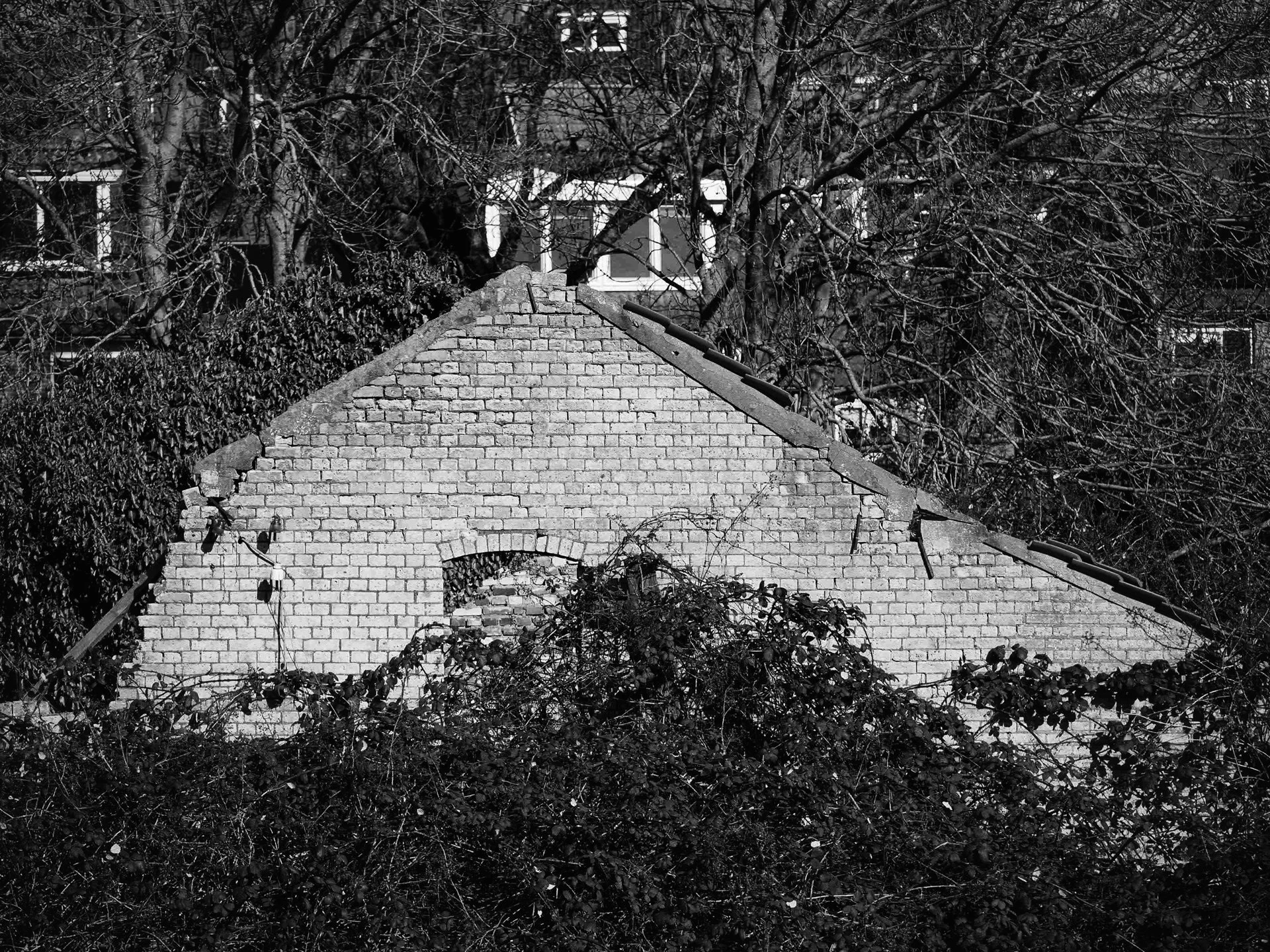 A black and white photograph of an old brick building with a sloped roof. The structure is partially covered with overgrown bushes and is set against a background of leafless trees.