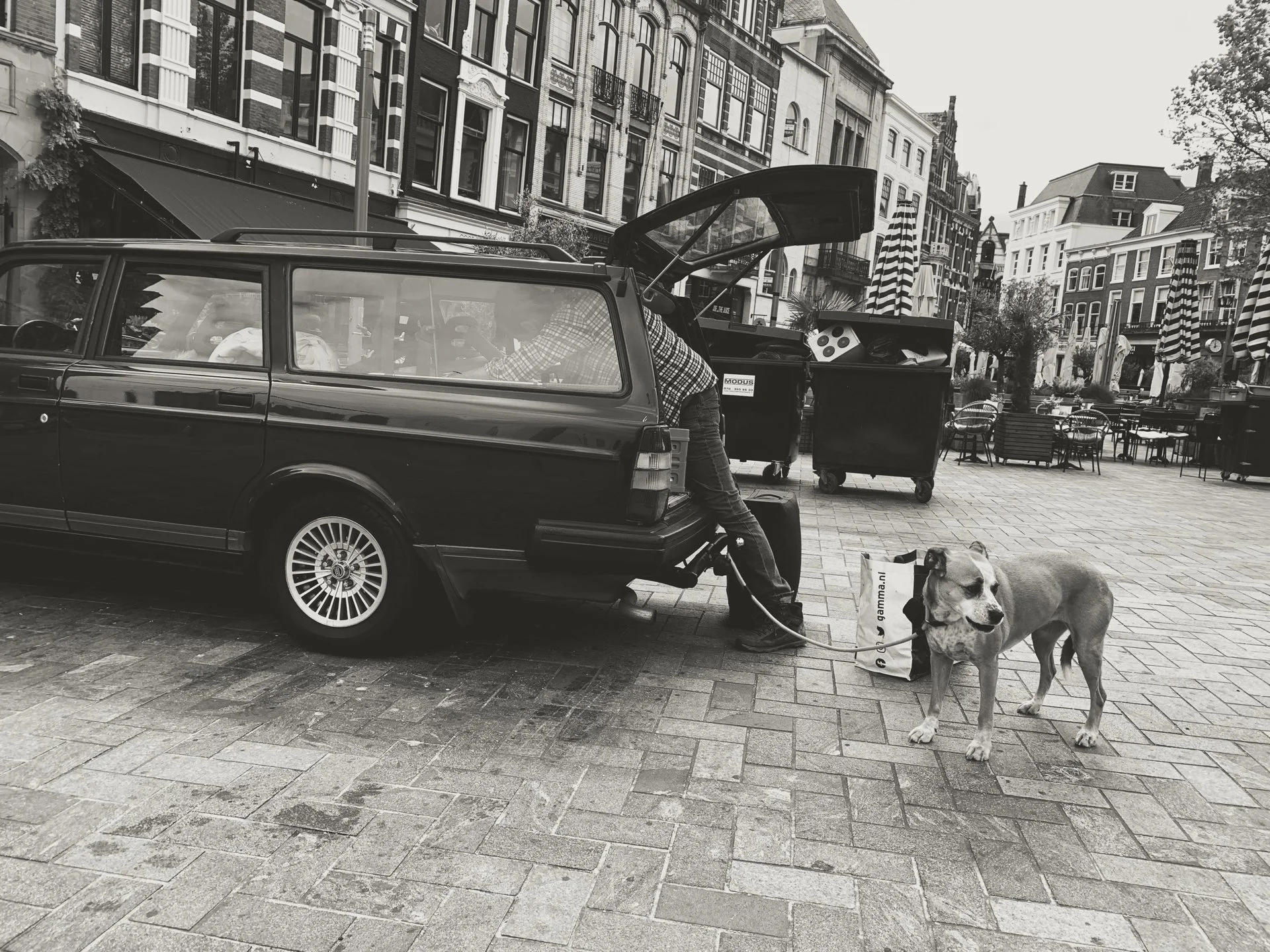 Photo for website gallery (13).JPG