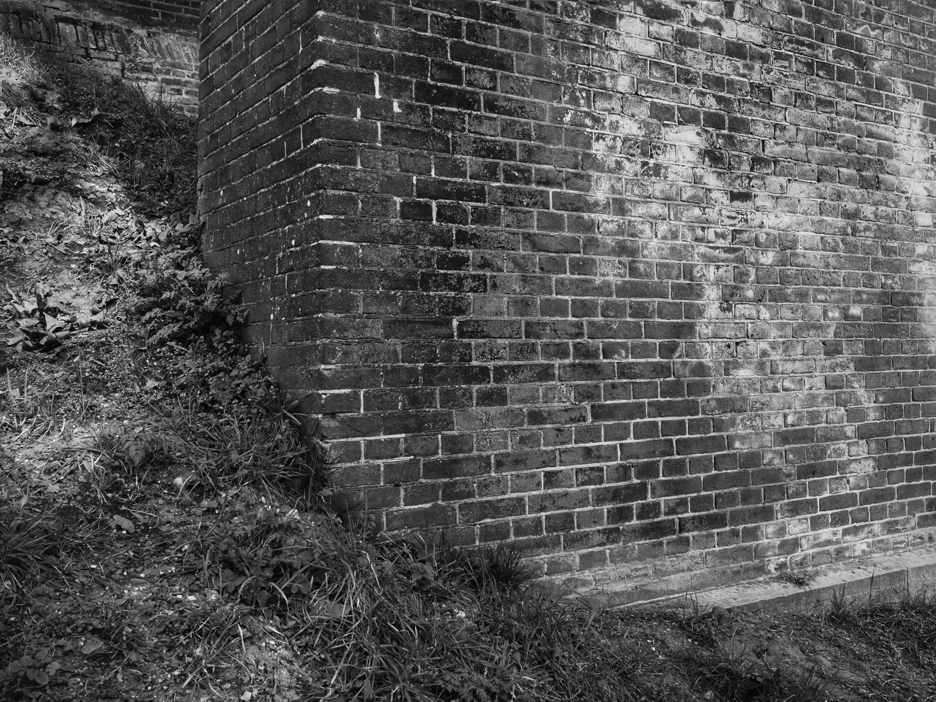 Black and white photo of a brick wall with overgrown grass and dirt at the base.