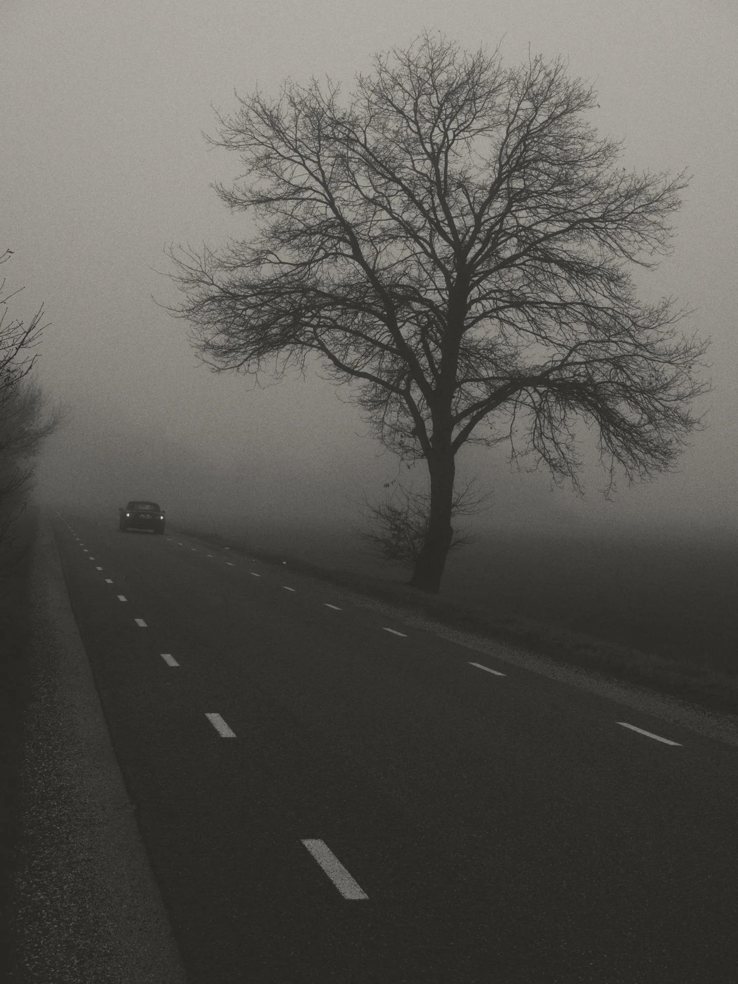 A black and white photo of a leafless tree beside a two-lane road that curves slightly. An old car is driving away from the camera, and the sky is foggy or overcast.