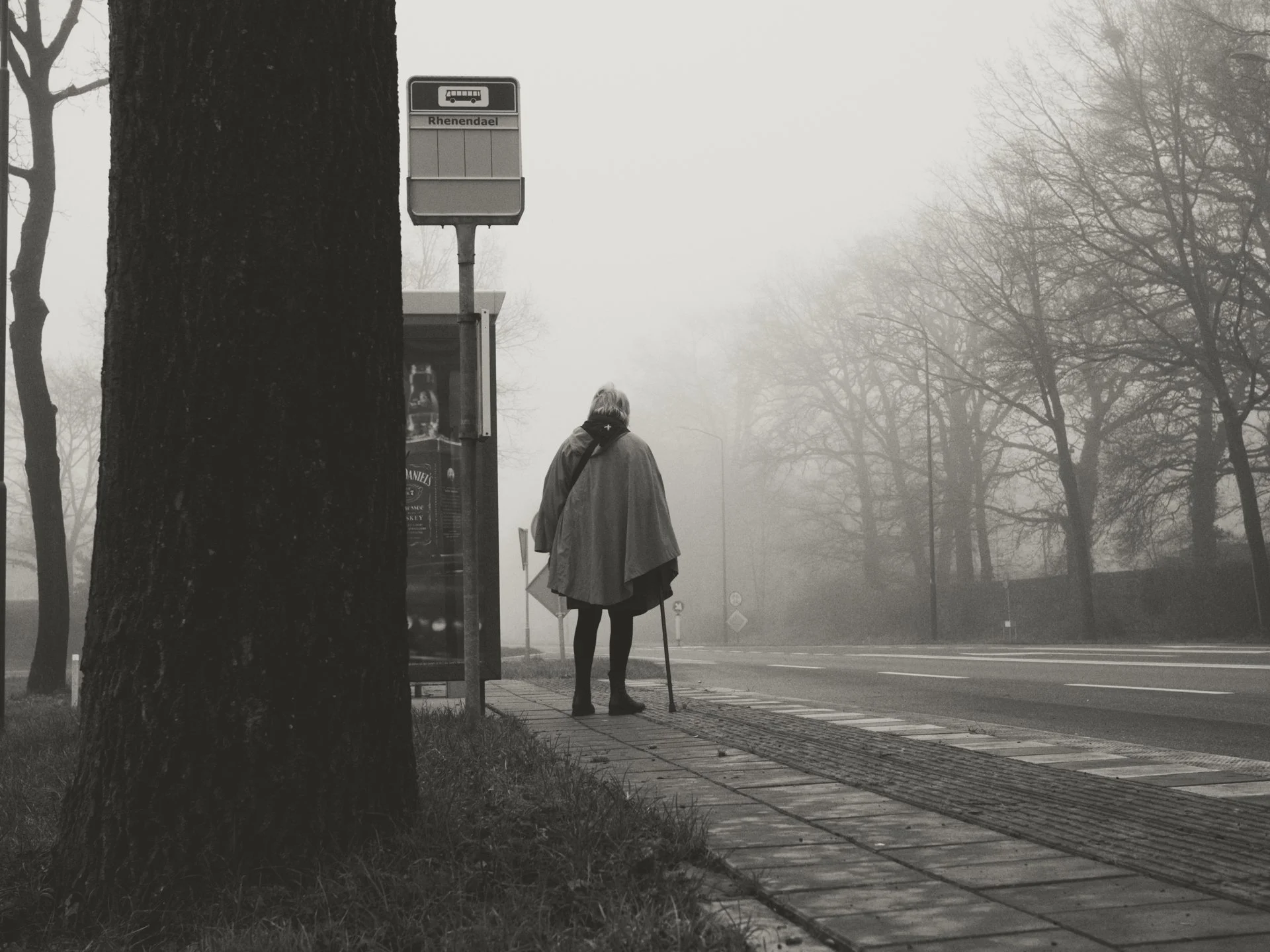 An elderly woman standing at a bus stop on a foggy day, holding a cane, with labeled bus stop sign reading "Rhenendael".
