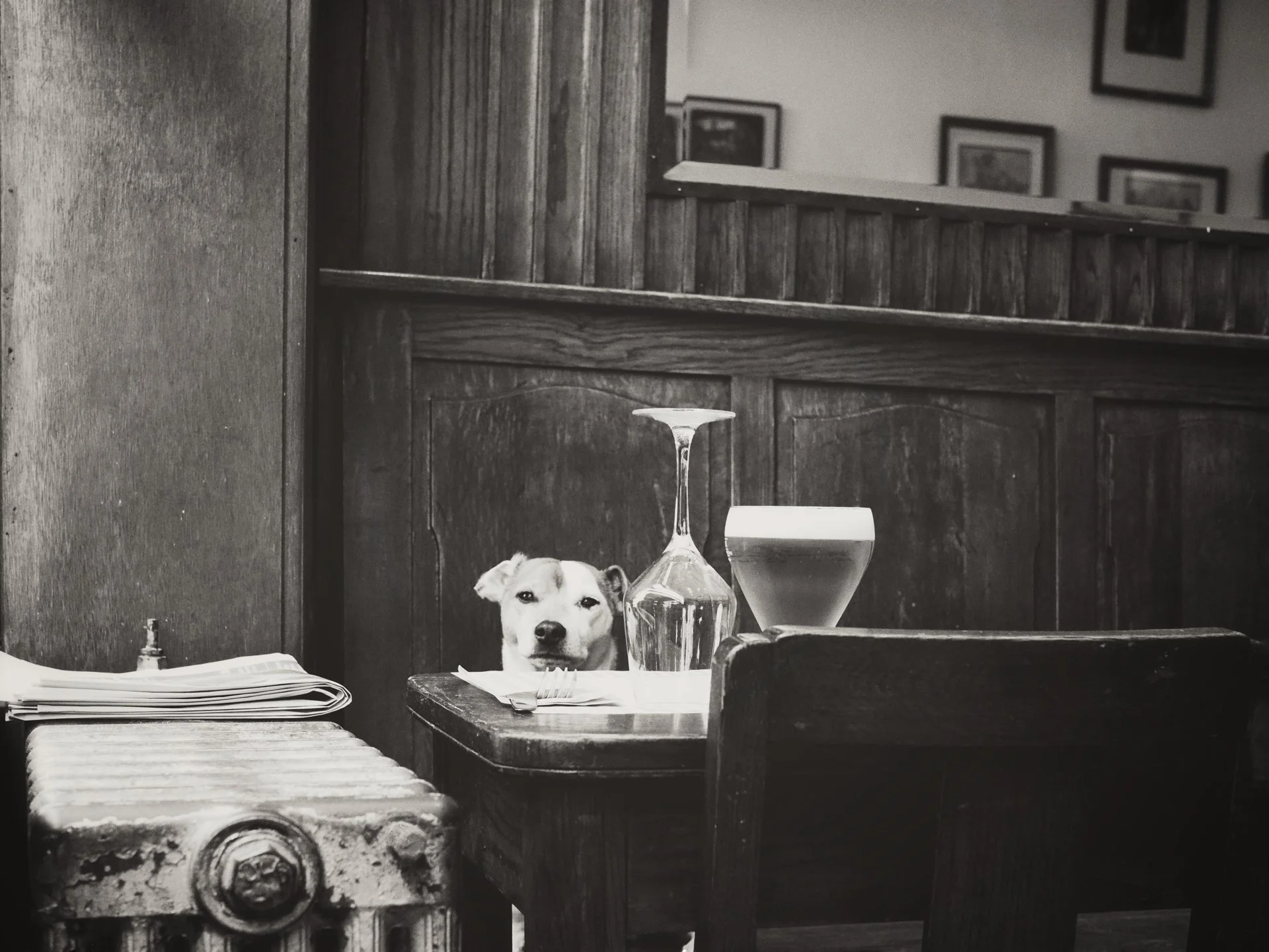 A black and white photograph of a dining area with a dog peeking from behind a table. The table has a wine glass, a bowl, a fork, and a napkin. In the background, there are framed pictures on the wall and wooden wall paneling.