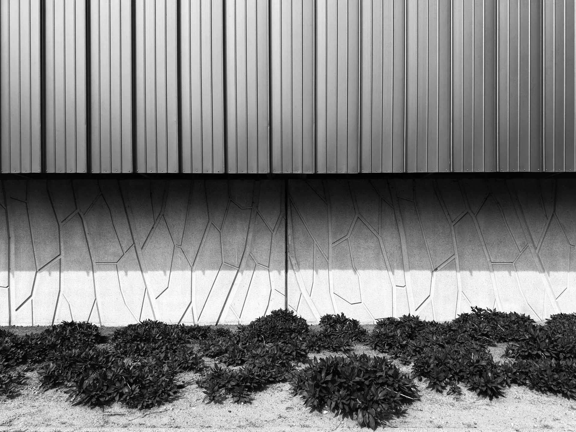 The image shows a building exterior with a metal siding on the upper part and a decorative concrete pattern on the lower part. There are bushes planted in front of the building along the ground.