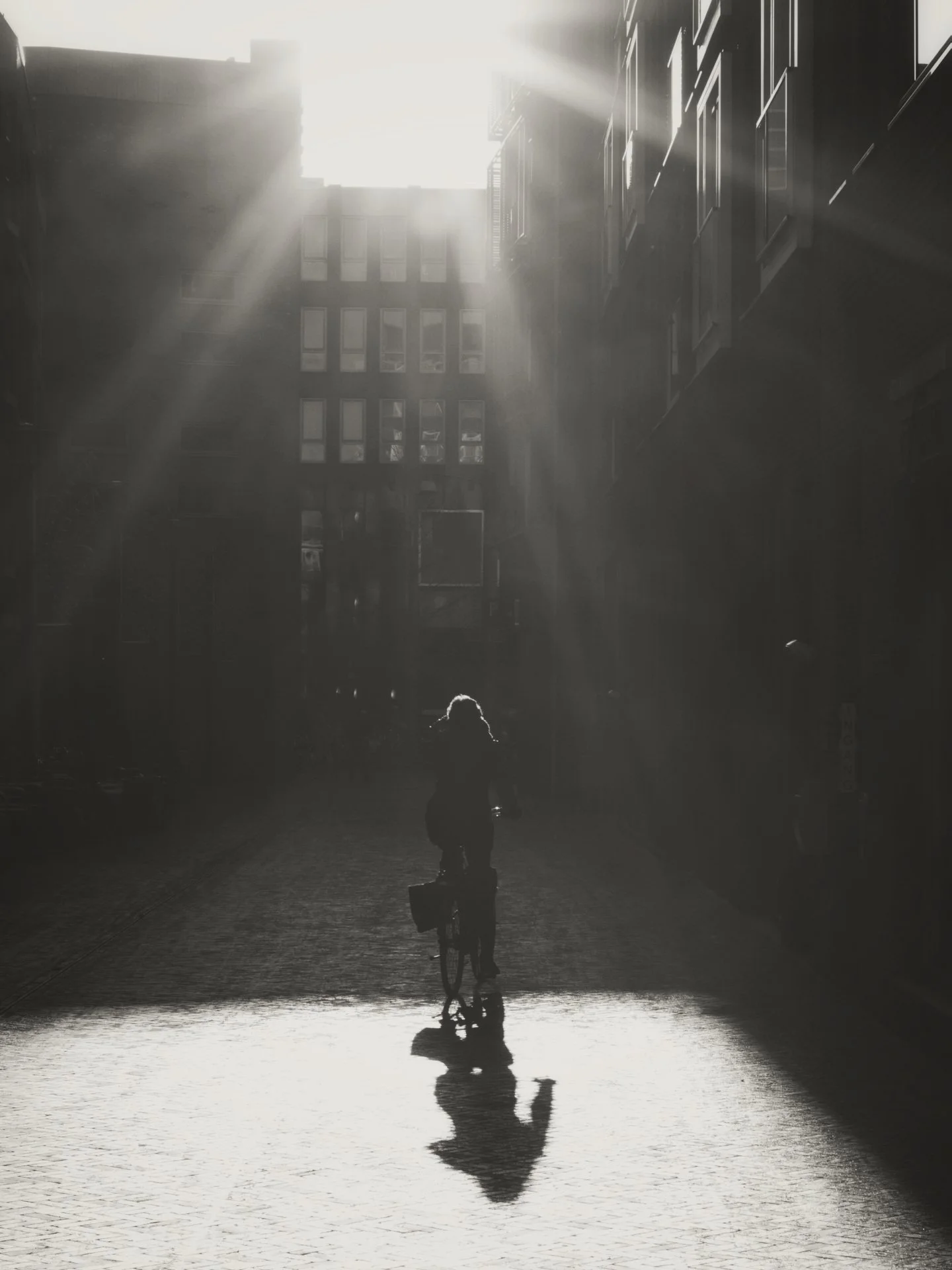 A person with a bicycle walking in a city street at sunset, with sunlight streaming between tall buildings and creating reflections on the pavement.