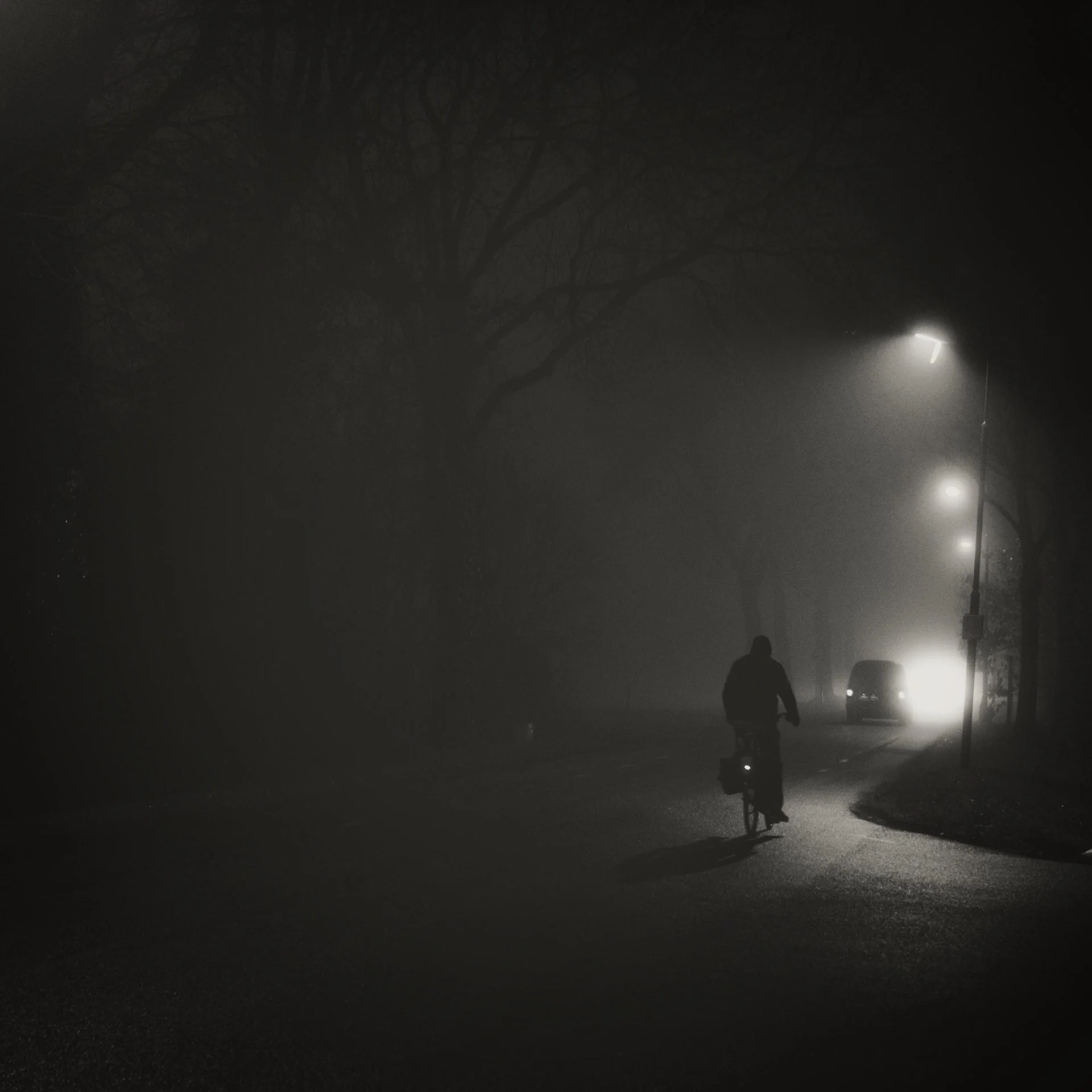 Nighttime scene showing a foggy street with a person walking and a bicycle. Streetlights illuminate the fog, creating a moody atmosphere. Silhouettes of trees are visible in the background.