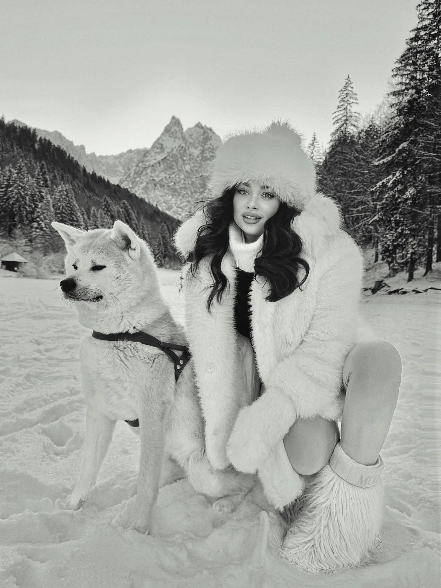 My Beautiful Chloe 🐕 🤍