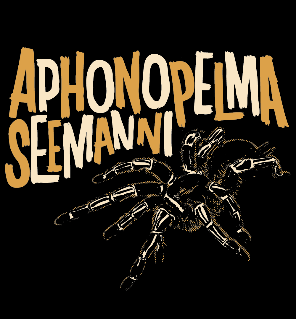 topAphonopelma S BlackAvicularia.png