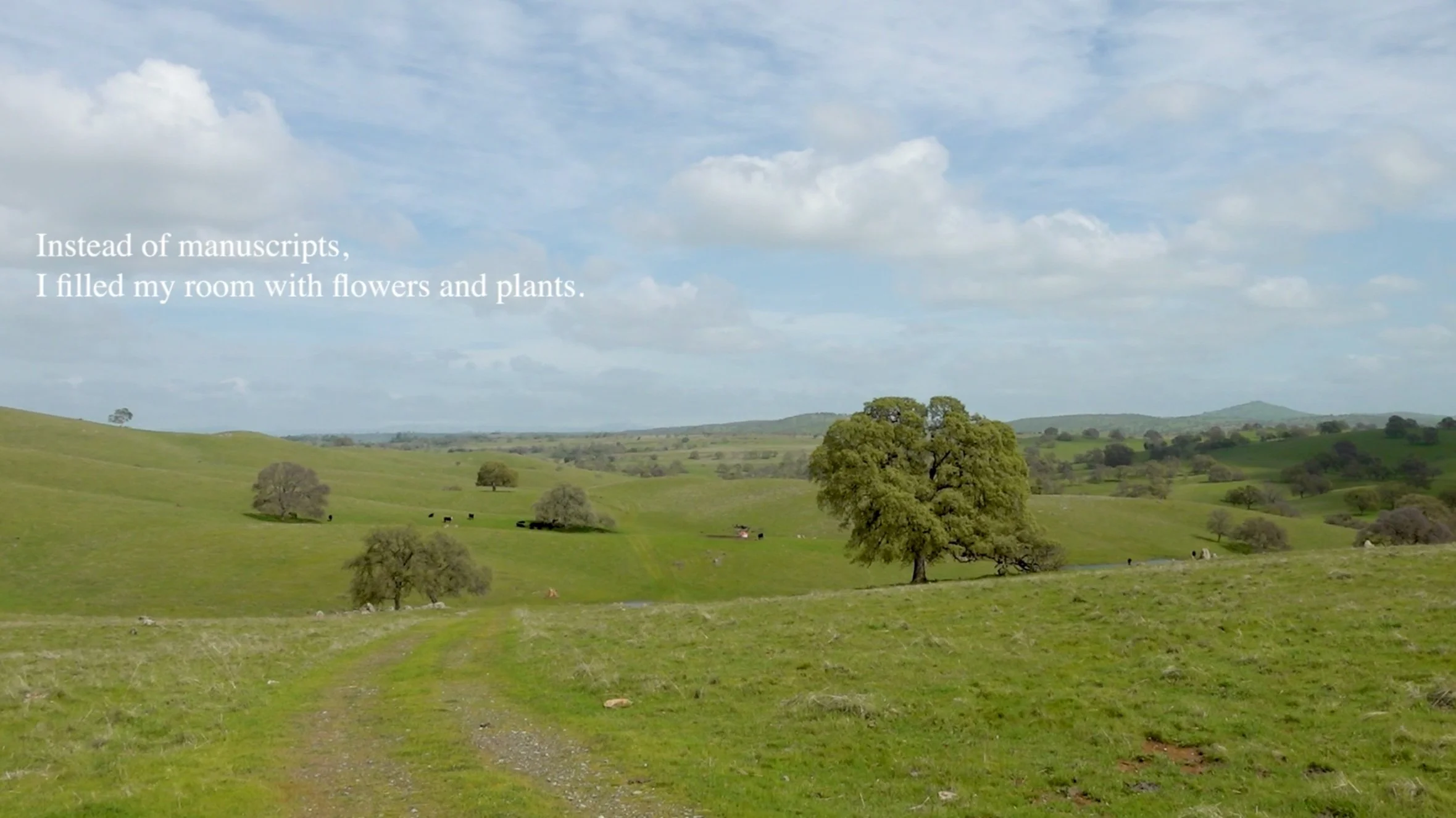 Screen Shot 2025-06-25 at 12.46.24 PM.jpg