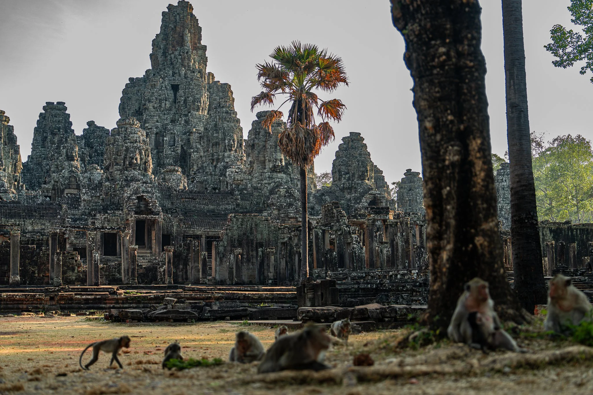Bayon Temple - monkeys in foreground.jpg
