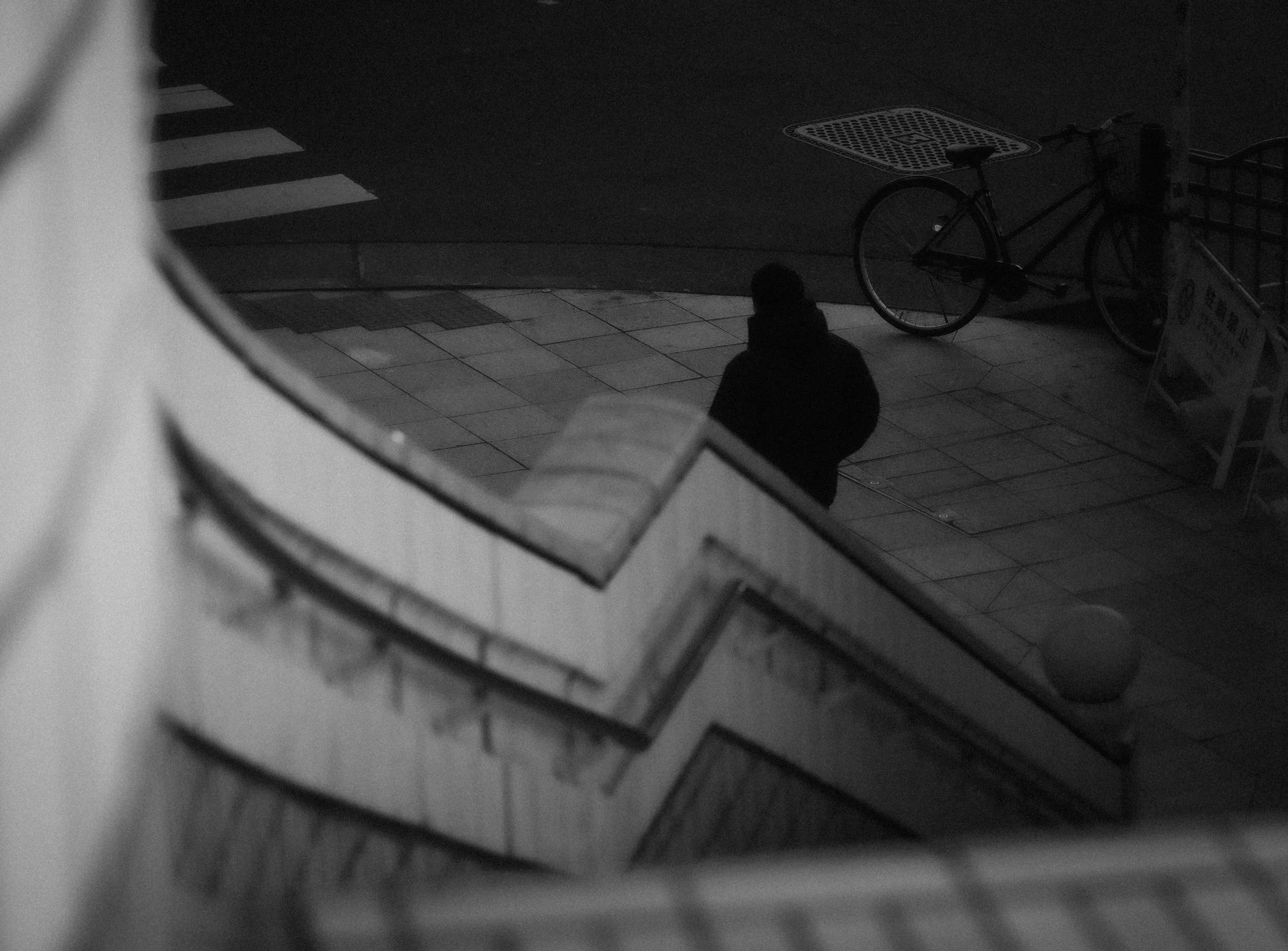Walking down the steps - black and white.jpg