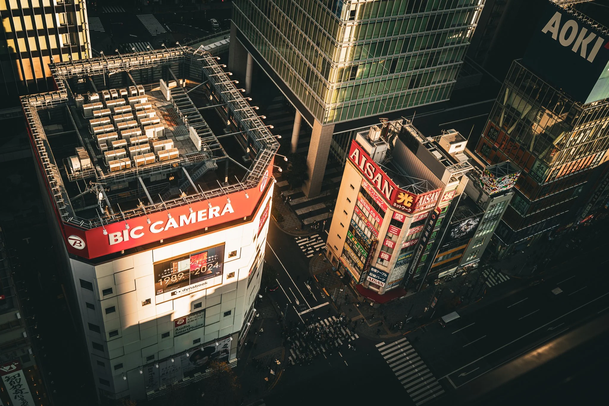Akihabara - looking down.jpg