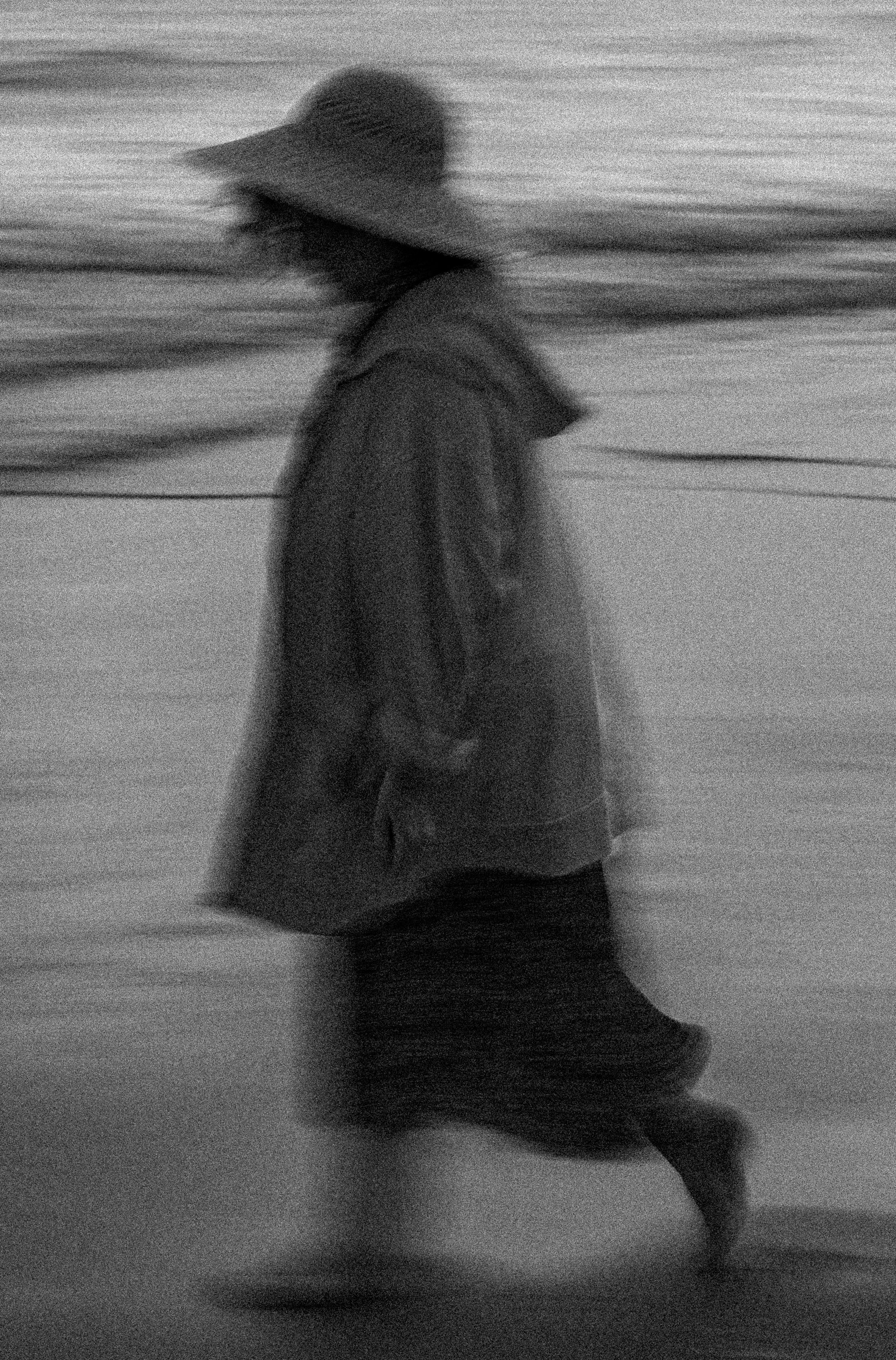 Evening stroll.jpg